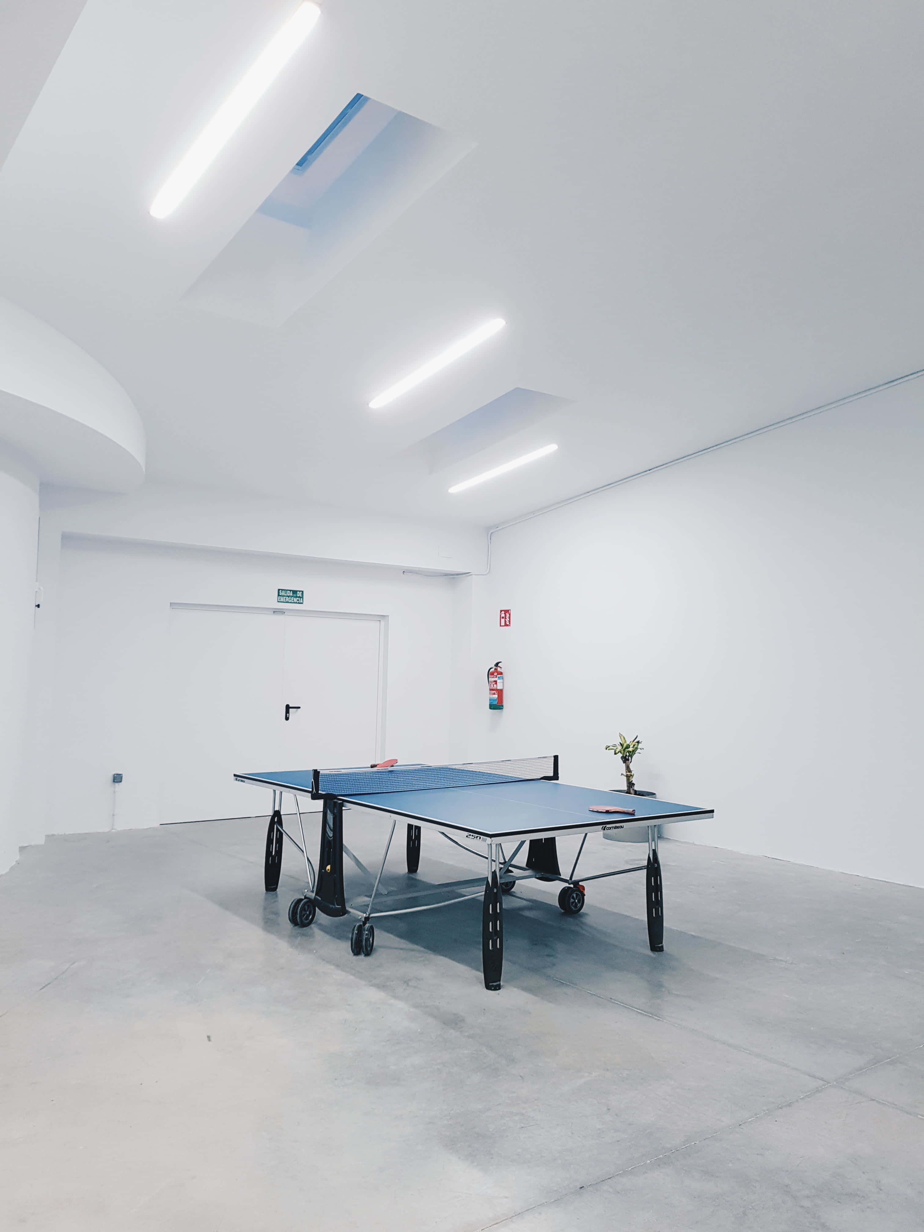 Table Tennis 桌布 壁紙 — 一張簡約藍色乒乓球枱獨自放在一個白色空曠的房間，房間有混凝土地板和螢光天花燈。