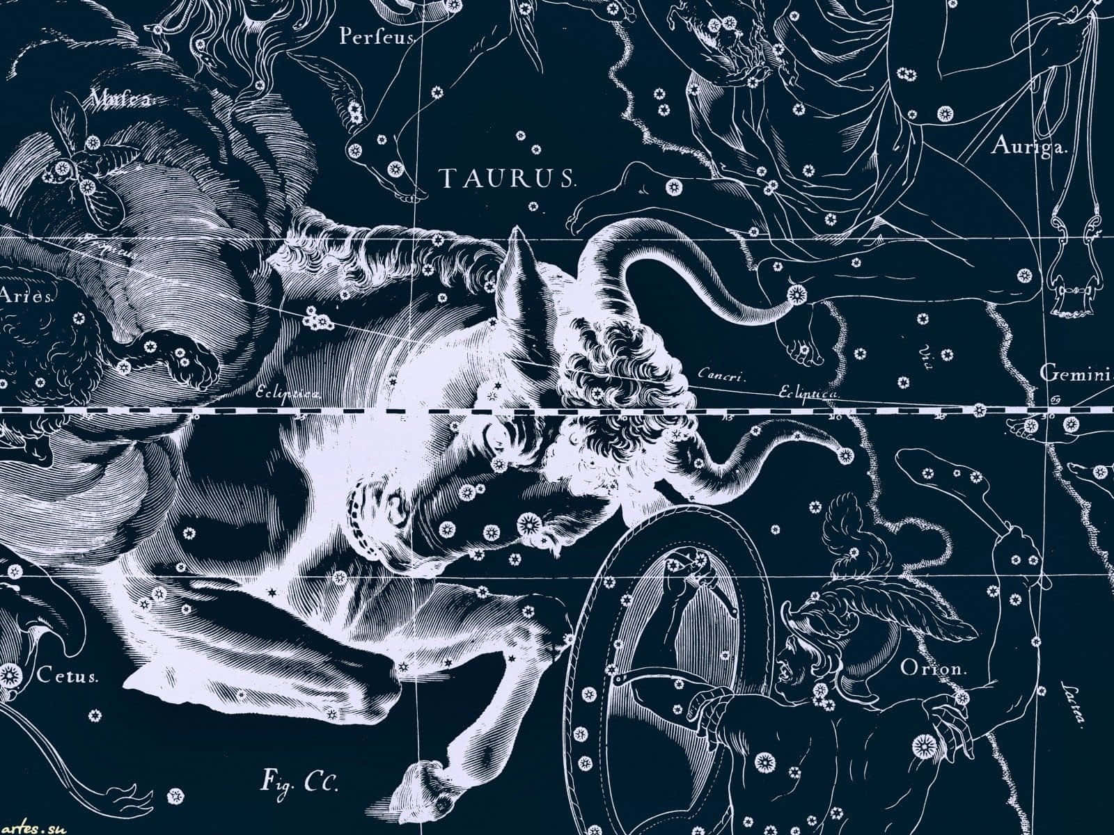 金牛座 桌布 壁紙 — 一張精緻的復古星圖，以白色線條藝術在深海軍藍背景上描繪神話星座，如金牛座和獵戶座。