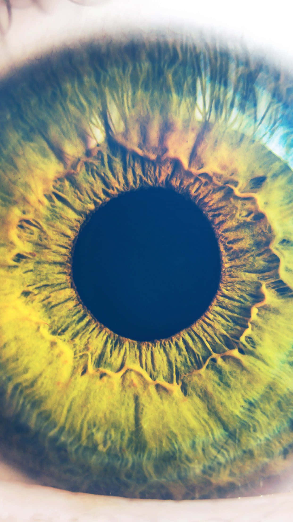 Eyes 桌布 壁紙 — 一張超詳細的人類眼睛微距照片，深黑色瞳孔周圍環繞著鮮豔的綠色和黃色虹膜圖案。