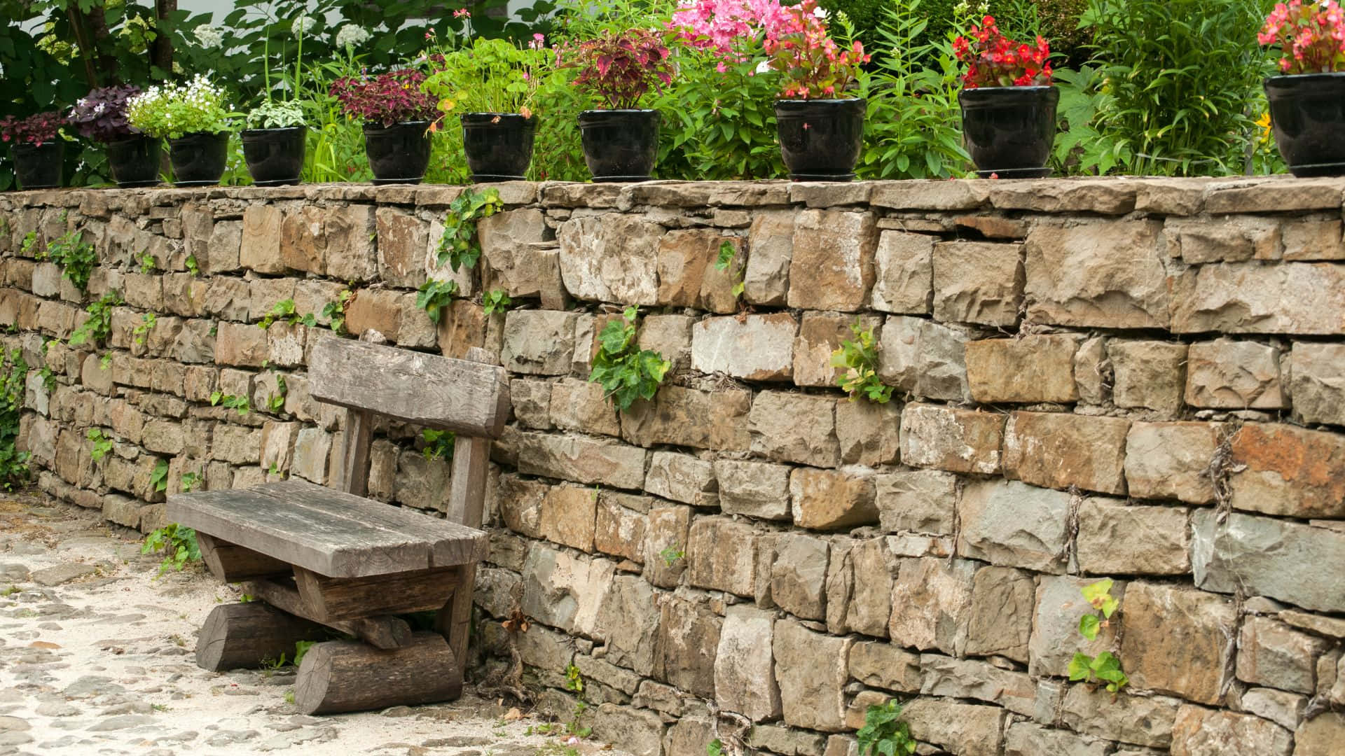 Garden Design 桌布 壁紙 — 一張風化的木凳放在一個質樸的石牆旁邊，牆上裝飾著盆栽花卉和攀緣藤蔓。