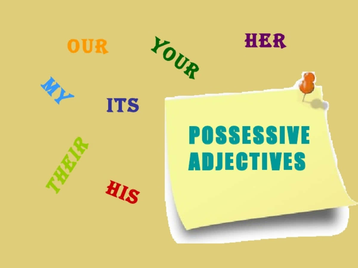 形容詞 桌布 壁紙 — 一張黃色便利貼釘在米色牆上，顯示「POSSESSIVE ADJECTIVES」，周圍漂浮著彩色字體的所有格單詞。