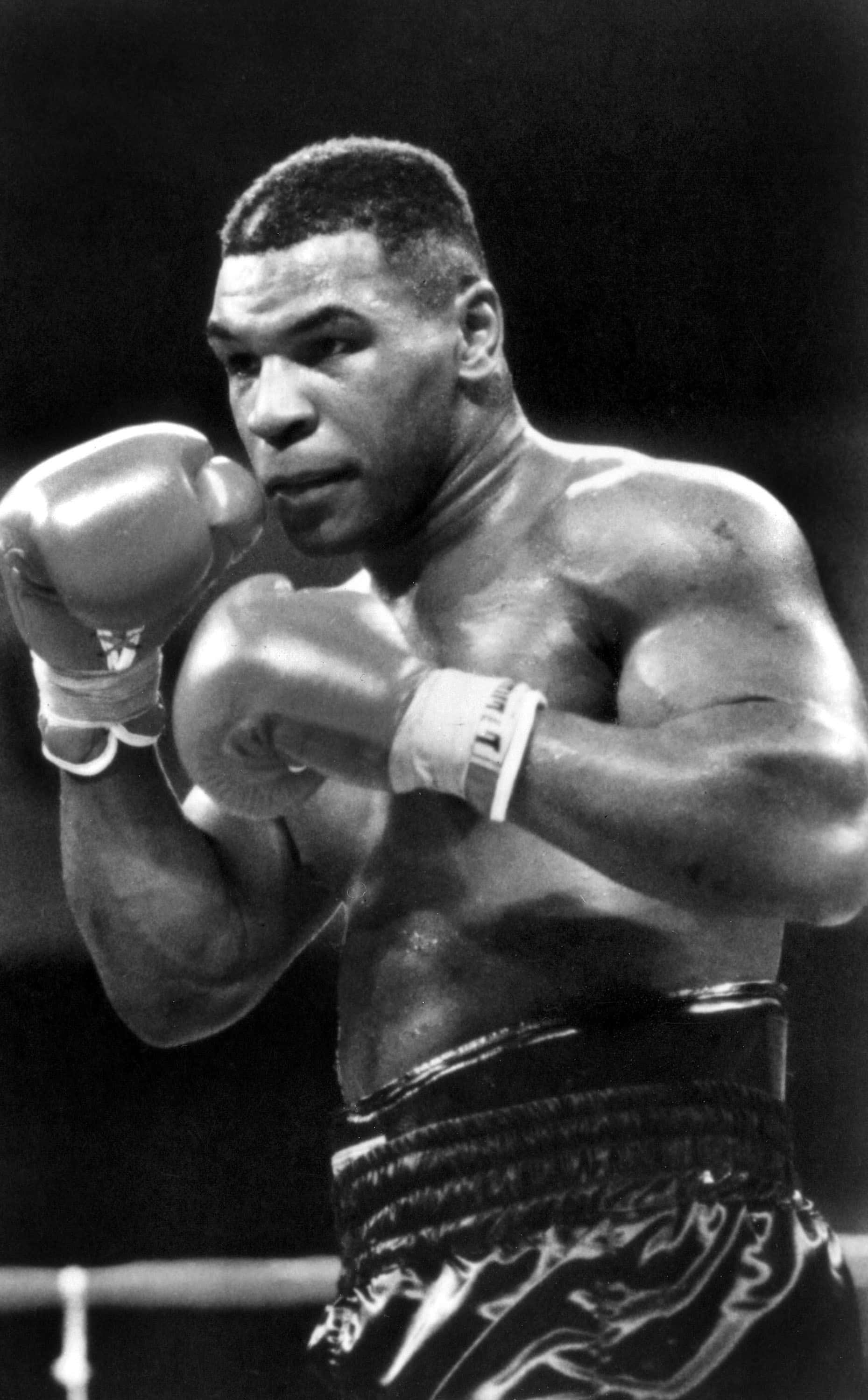 mike tyson 桌布 壁紙 — 一張黑白照片，Mike Tyson在拳擊擂台上戴著手套和短褲，擺出戰鬥姿勢。