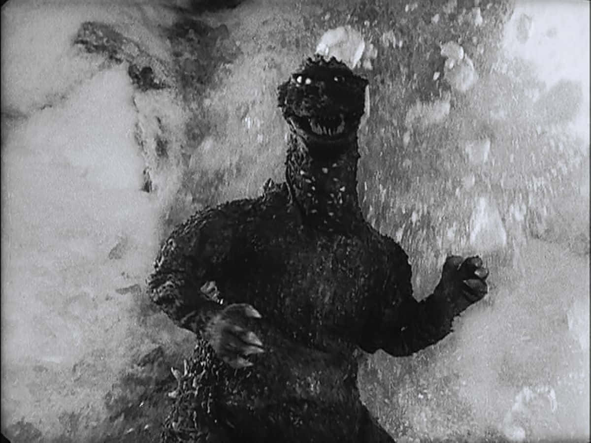 Godzilla 1954 桌布 壁紙 — 一張黑白照片，哥斯拉從水中出現，咆哮的頭部和帶爪的手周圍有飛濺的水滴。