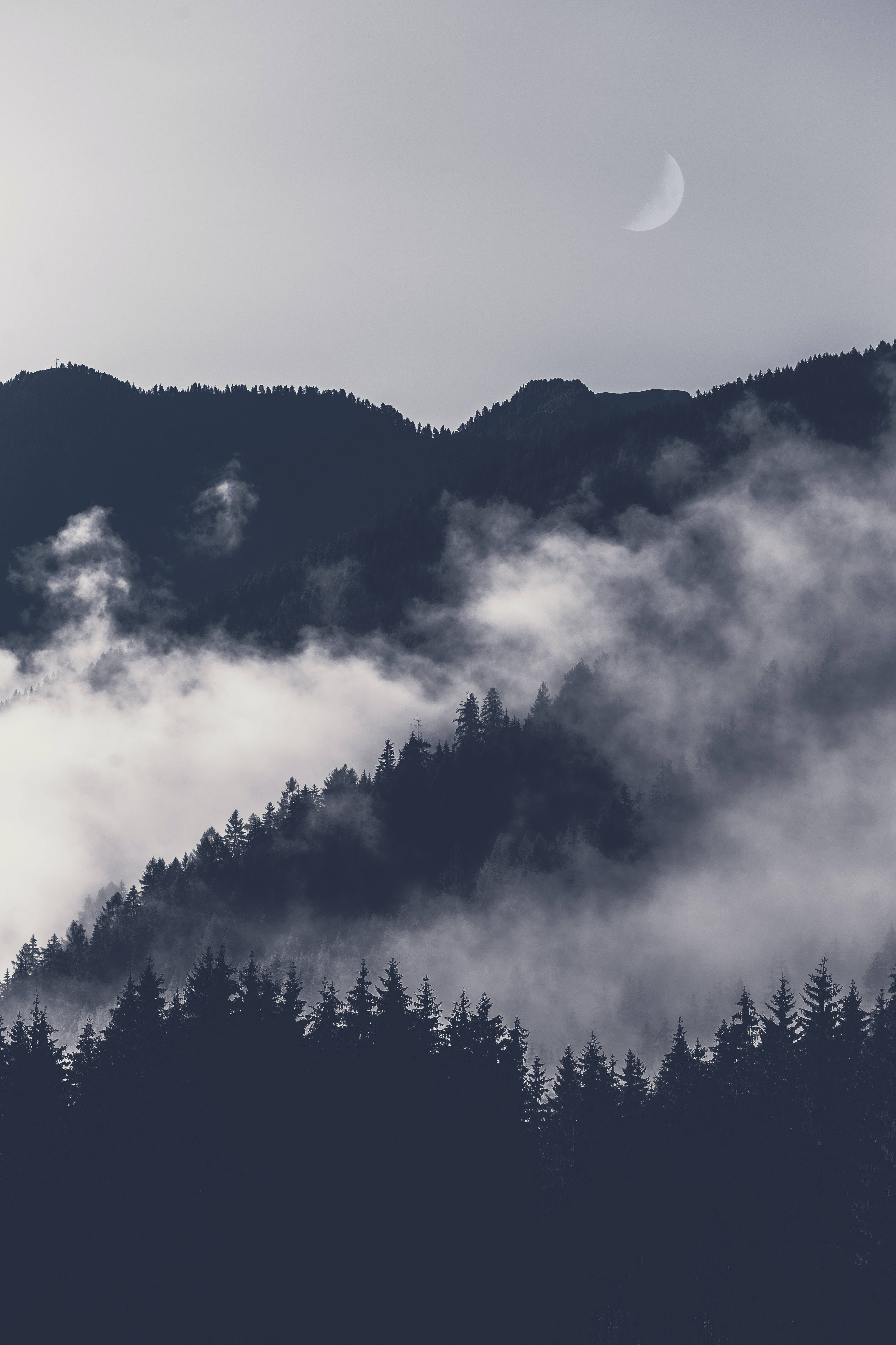 Mountain 桌布 壁紙 — 一彎新月懸掛在灰色天空下霧氣籠罩的森林山脈之上。
