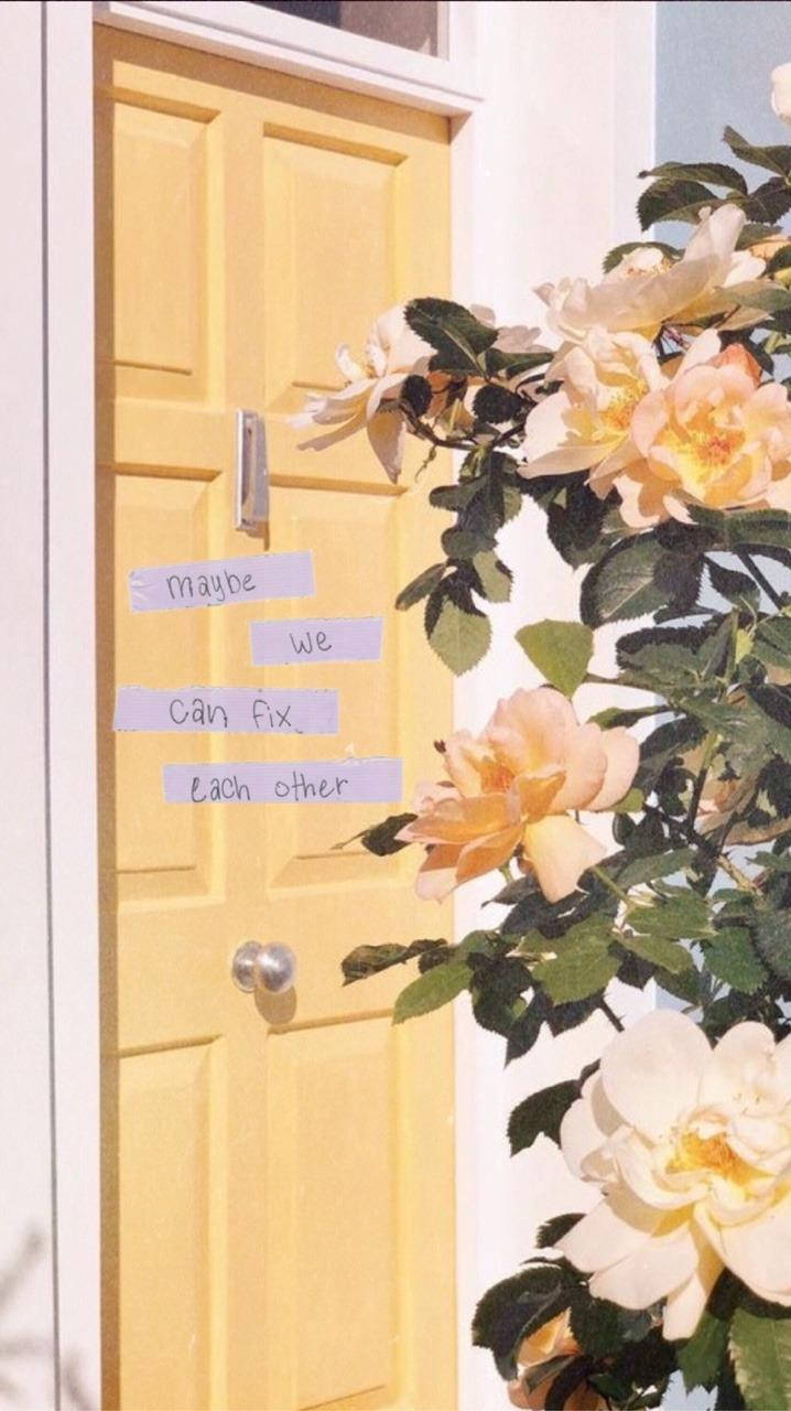Flowers 桌布 壁紙 — 一扇黃色門，飾有薰衣草色膠帶，上面寫著「maybe we can fix each other」，被盛開的蜜桃色和白色玫瑰環繞。