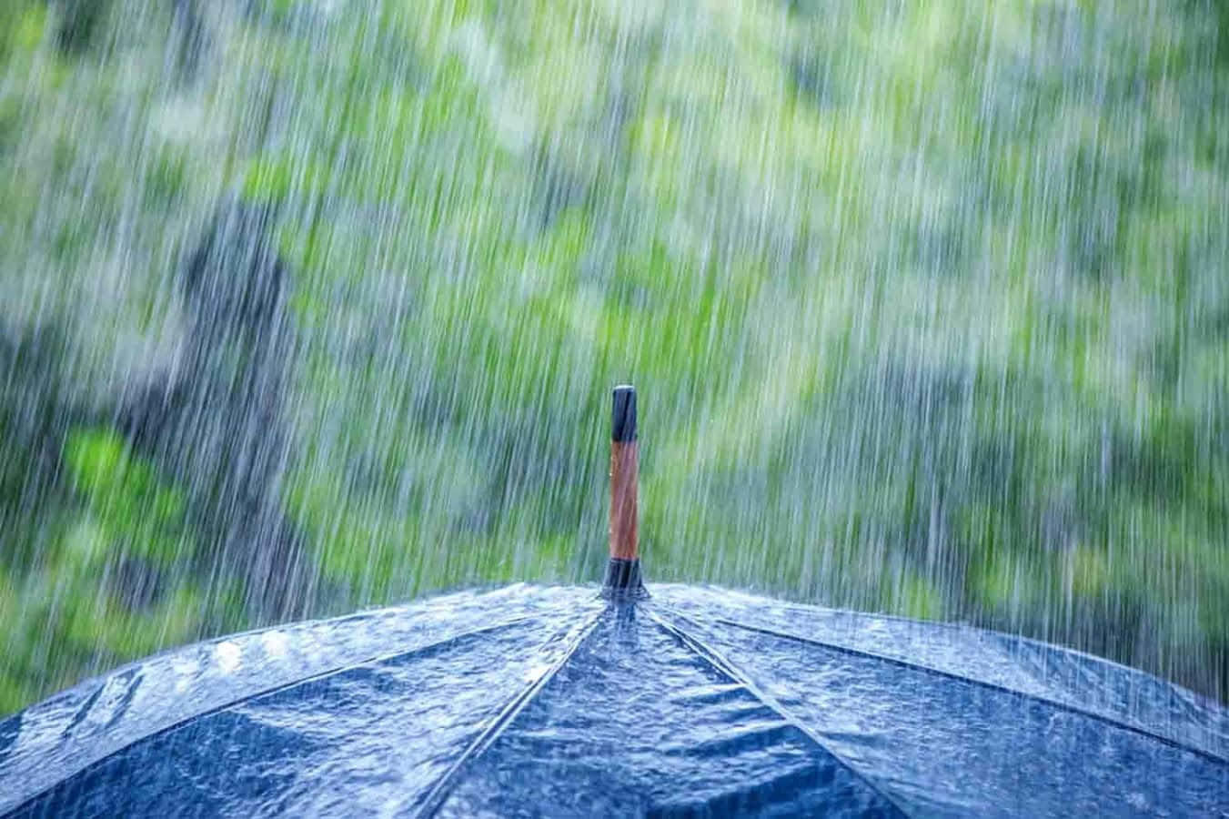 落雨 桌布 壁紙 — 一把深藍色雨傘抵擋著大雨，背景是模糊的綠色樹葉。