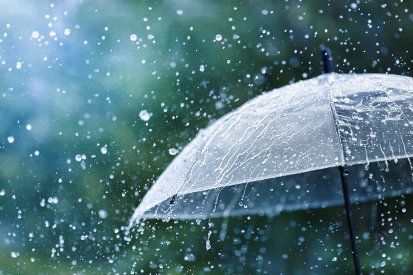 落雨 桌布 壁紙 — 一把透明雨傘在模糊的綠色背景下閃爍著雨滴，水滴在空中飛濺。