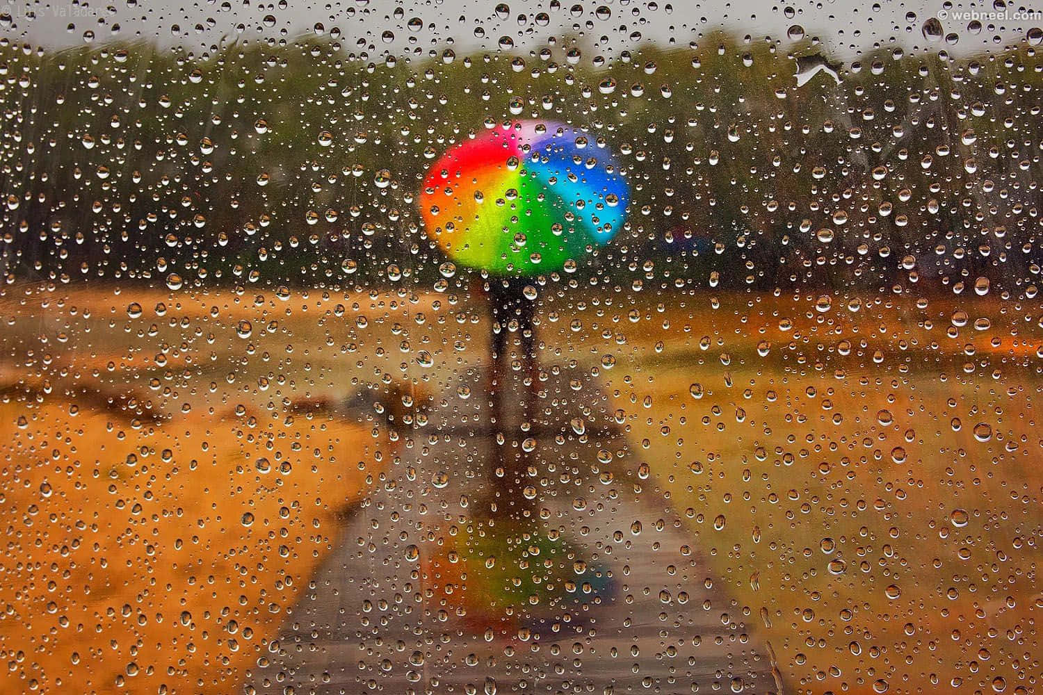 落雨 桌布 壁紙 — 一把鮮豔的彩虹傘保護著一個在濕木路上行走的人，透過佈滿雨點的窗戶觀看。