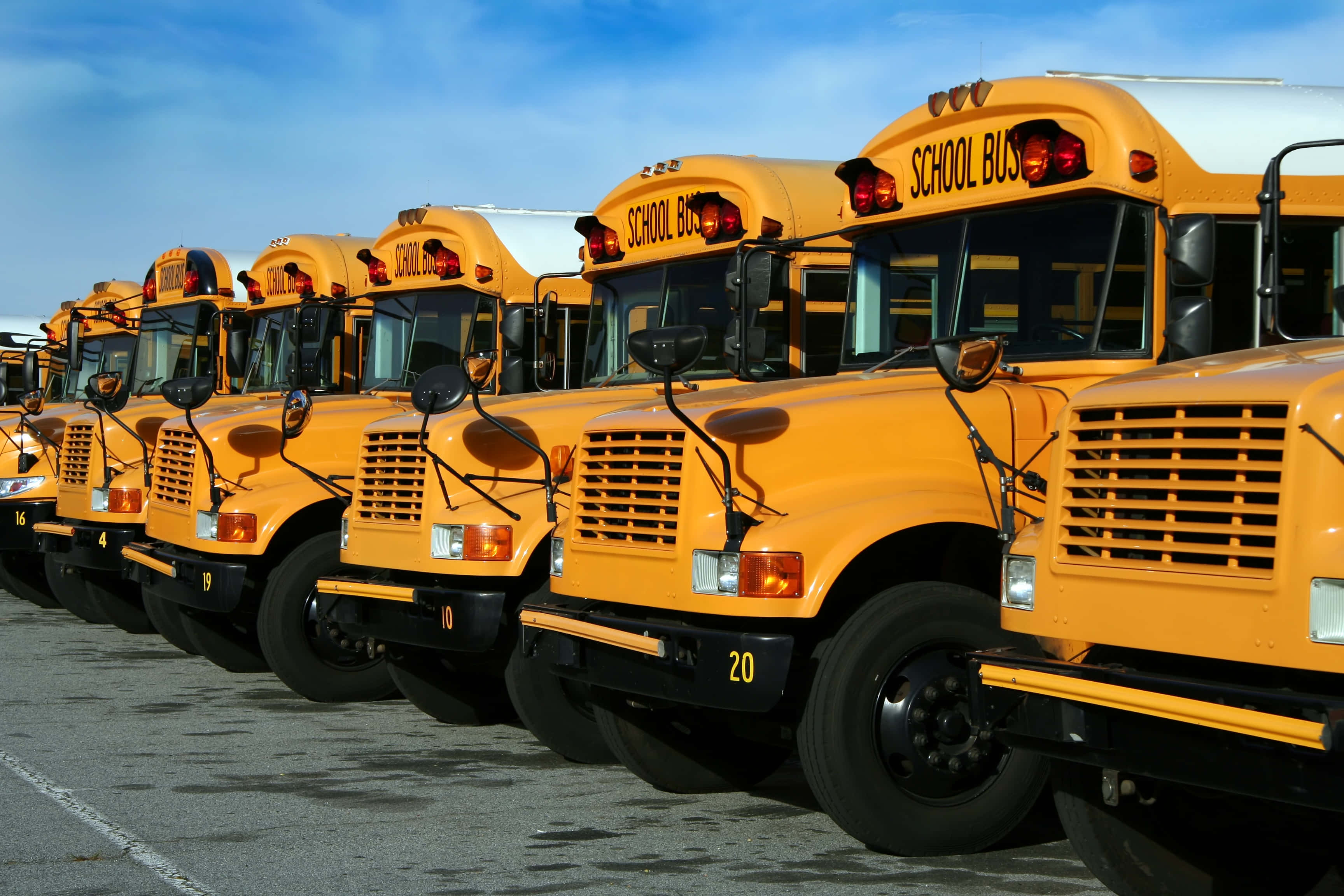 Yellow School Bus 桌布 壁紙 — 一排亮黃色嘅校巴泊喺停車場，頭頂係晴朗嘅藍天。