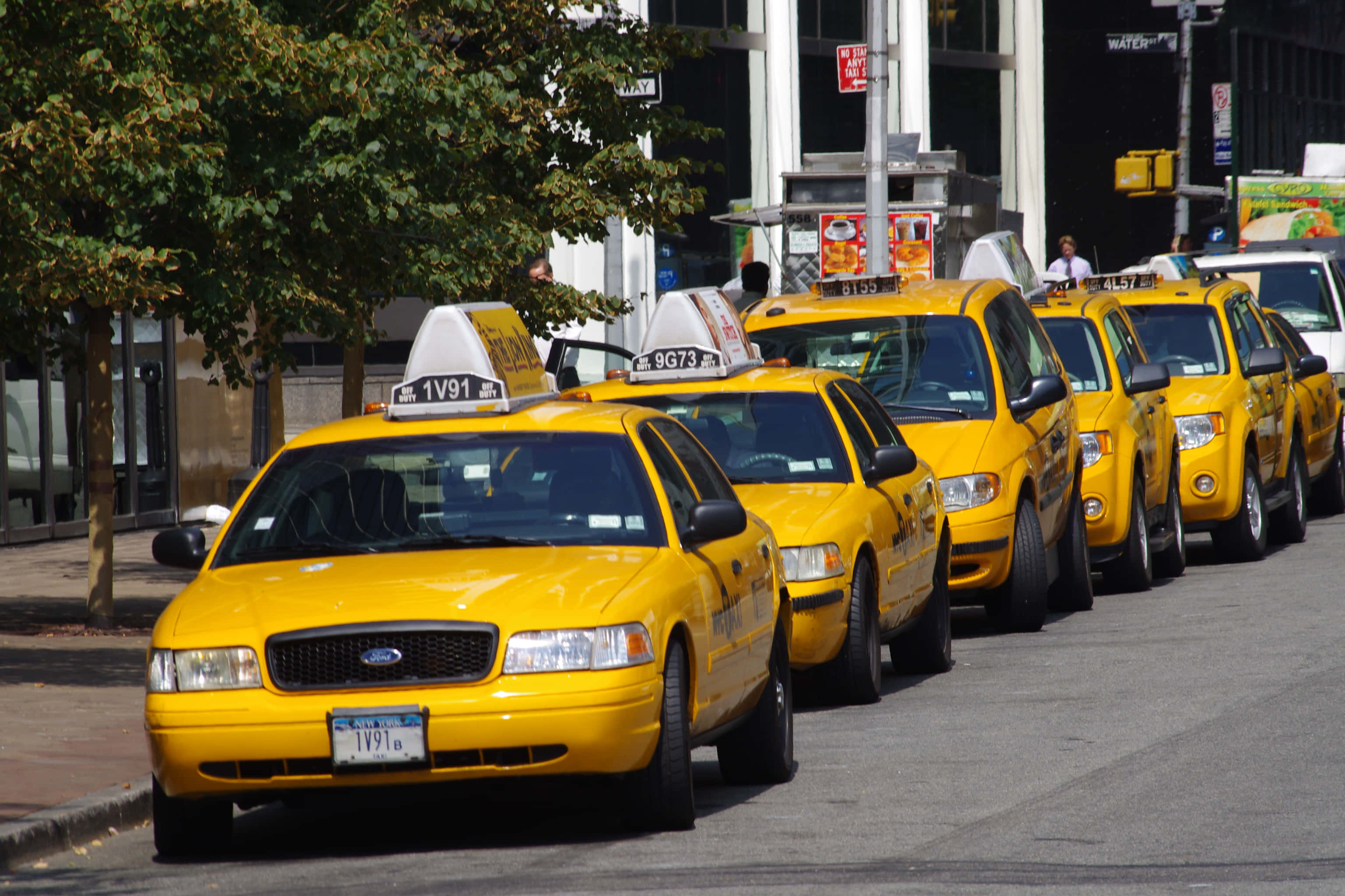 Yellow Cab 桌布 壁紙 — 一排亮黃色的的士在晴朗的日光下排列在城市的街道上，背景有樹木和建築物。