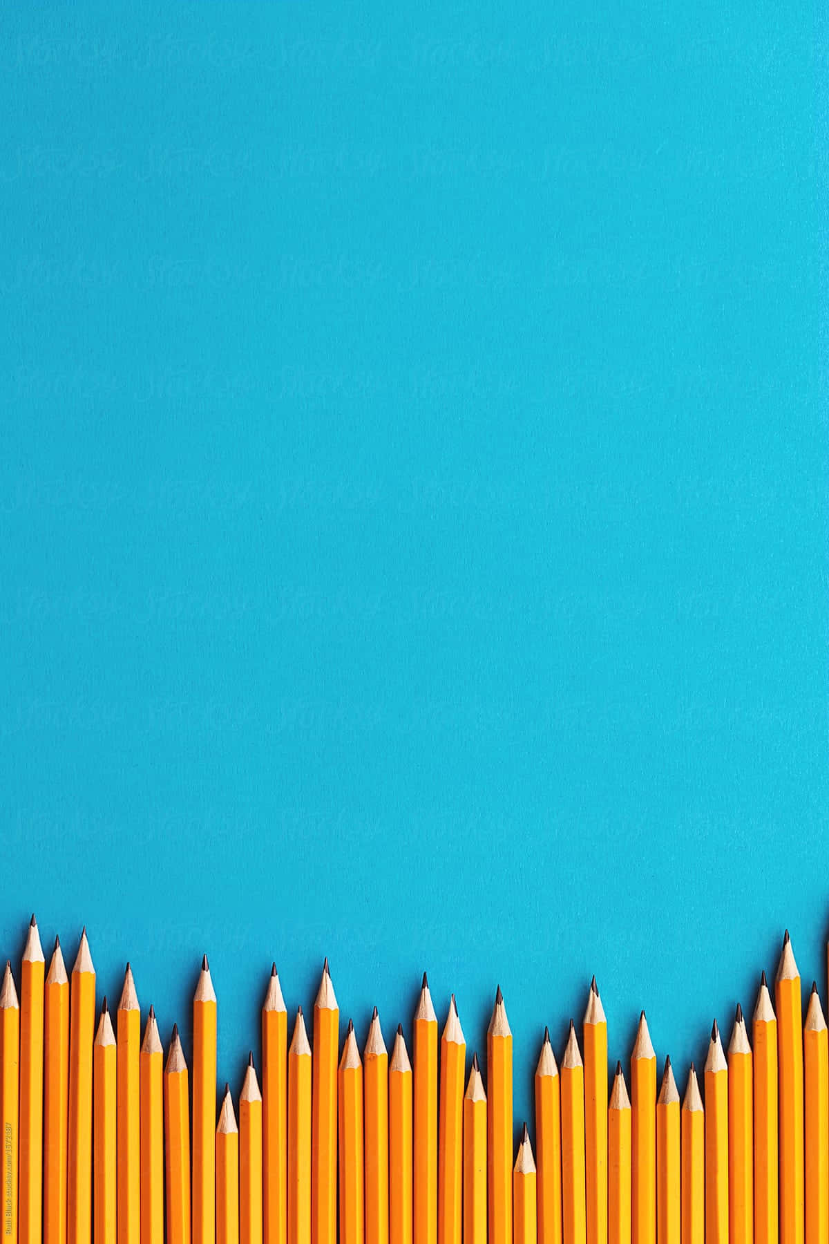 pencil 桌布 壁紙 — 一排削尖的黃色鉛筆沿著底部邊緣排列，背景為純青色。