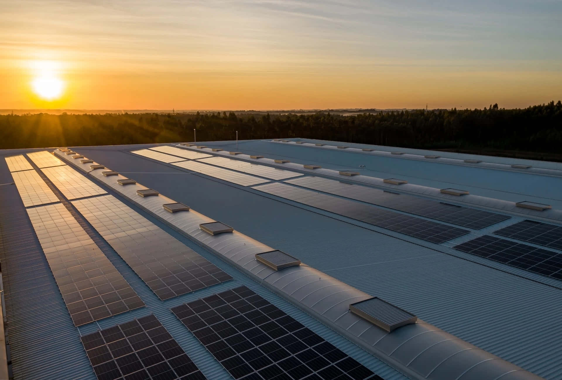Solar Panel 桌布 壁紙 — 一排排太陽能板在廣闊的工業屋頂上，於金色日落中閃耀，地平線上是森林。