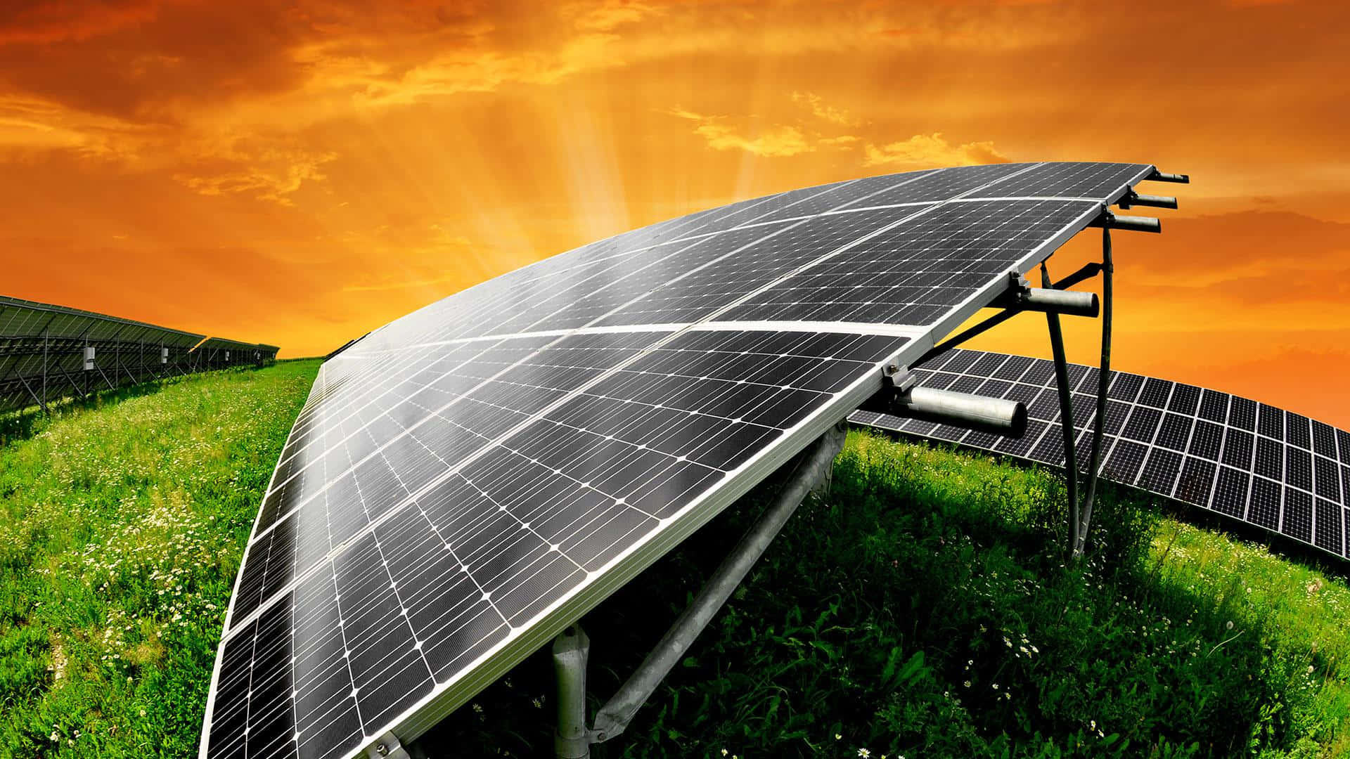 Energy 桌布 壁紙 — 一排排太陽能板在火紅橙色的日落天空下，在翠綠的田野上閃閃發光。