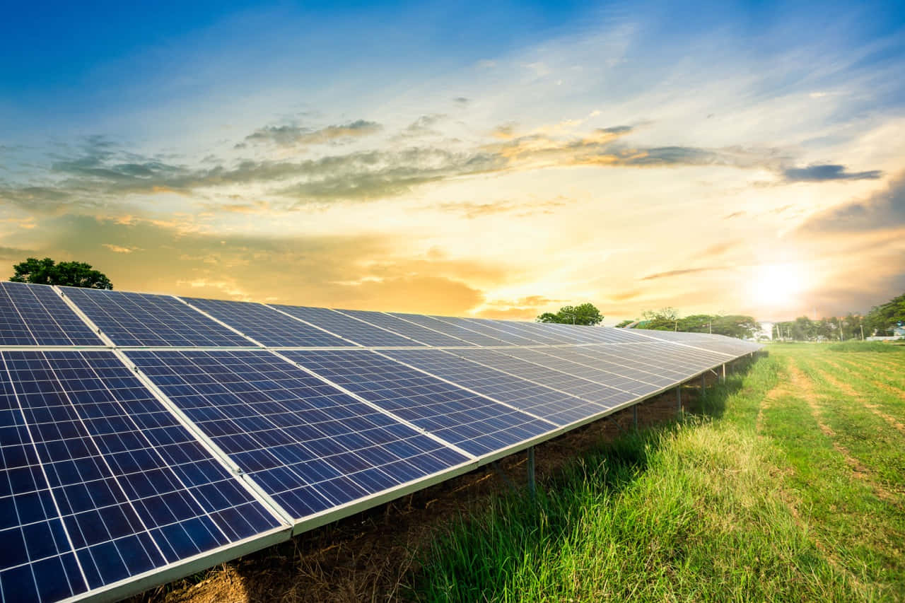 Solar Panel 桌布 壁紙 — 一排排太陽能板在金色夕陽天空和散雲下延伸穿過草地。