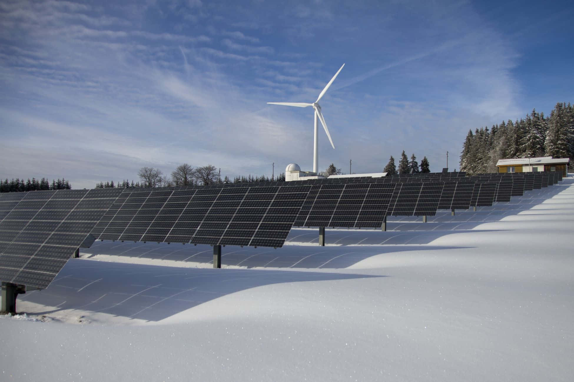 Renewable Energy 桌布 壁紙 — 一排排太陽能板在雪地上延伸，背景中一座風力渦輪機高聳在明亮的藍天下。