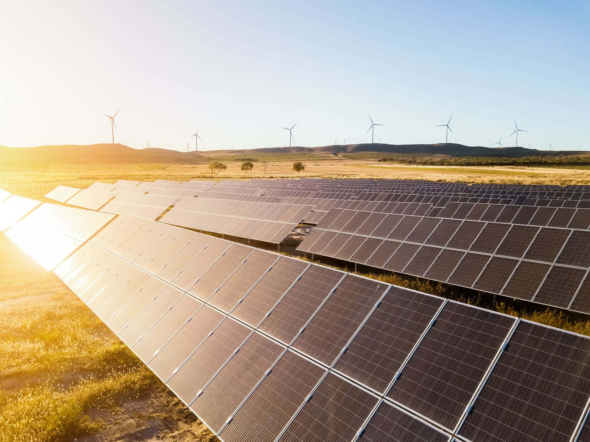 Solar Panel 桌布 壁紙 — 一排排太陽能板延伸至陽光明媚的田野，遠處的山丘上矗立著風力發電機，天空湛藍清澈。