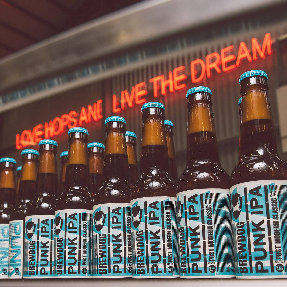 BrewDog Love Hopes And Live The Dream 壁紙 — 一排排帶有藍色瓶蓋和標籤的BrewDog Punk IPA啤酒瓶，放在一個發光的紅色霓虹燈標誌前，上面寫著「LOVE HOPS AND LIVE THE DREAM」。