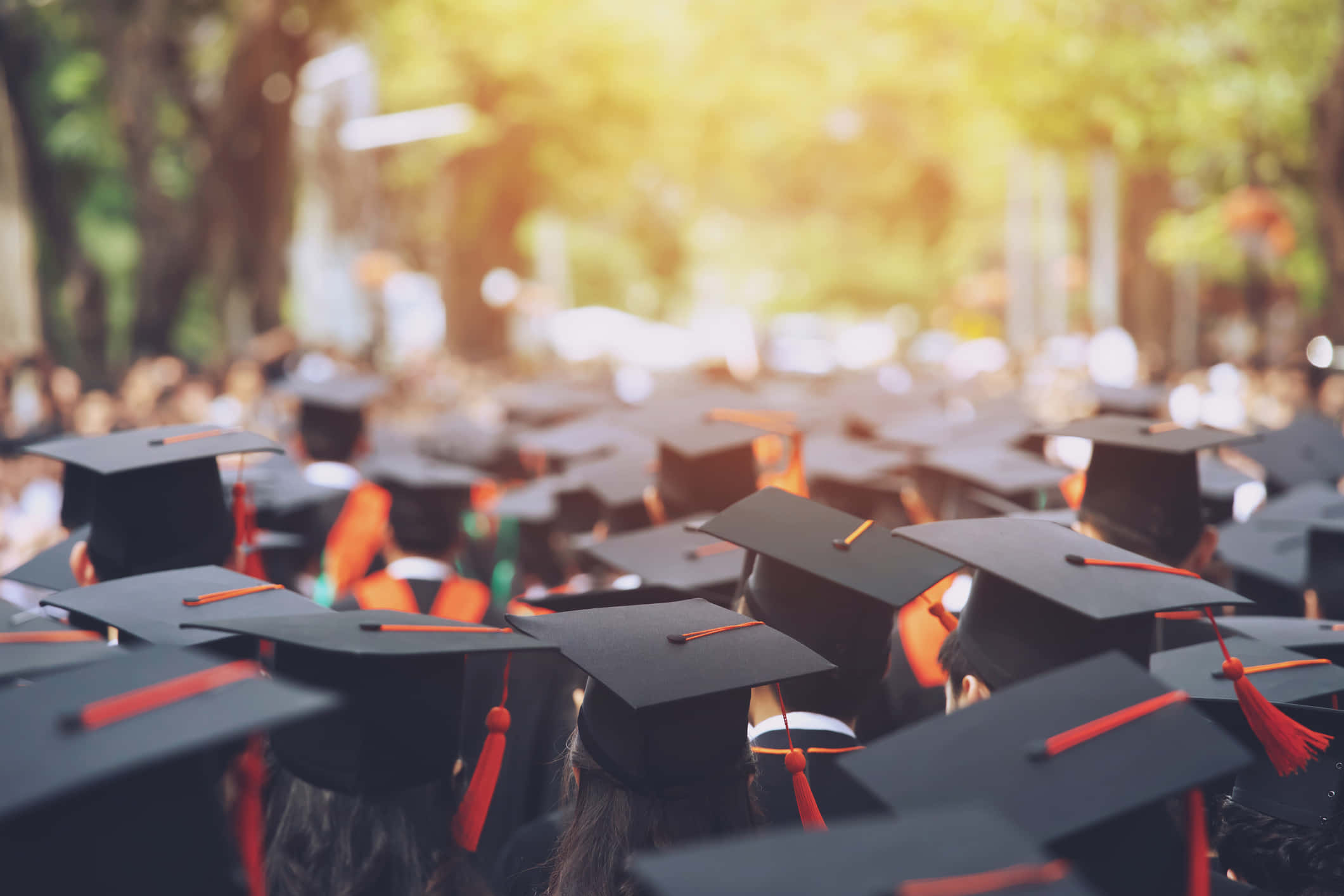 Graduation Ceremony 桌布 壁紙 — 一排排戴著黑色帽子和紅色流蘇的畢業生，背光站在透過樹木過濾的金色陽光中。