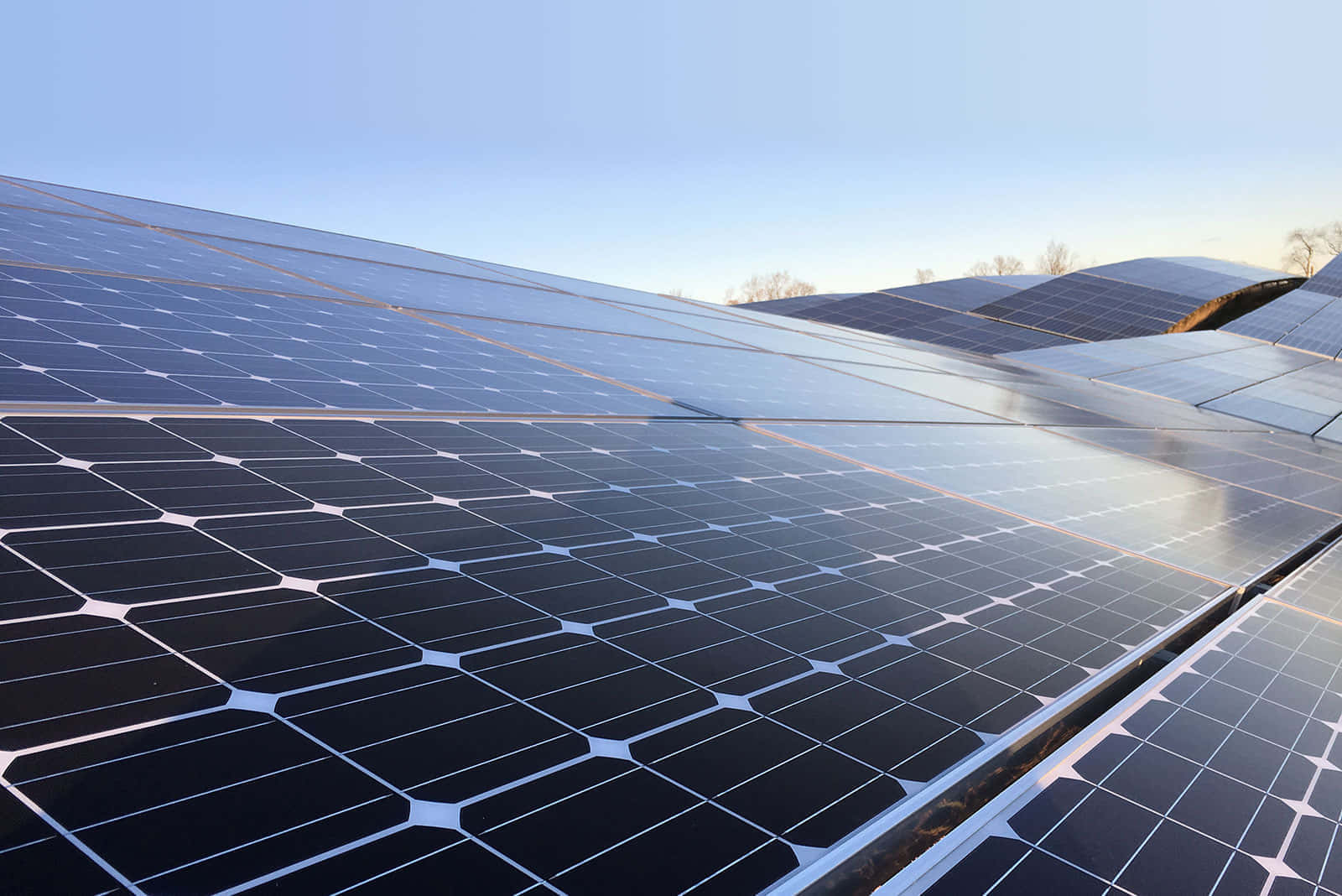 Solar Panel 桌布 壁紙 — 一排排時尚的黑色太陽能板在晴朗的藍天下閃閃發光，地平線上有遠處的裸樹。
