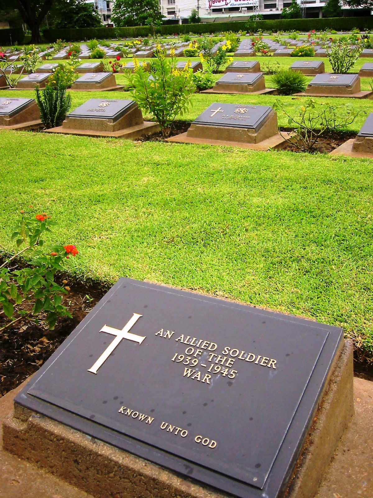 Gravestone 桌布 壁紙 — 一排排莊嚴的黑色墓碑，位於充滿活力的綠色墓園中，每個墓碑都刻有十字架，並在明亮的日光下被盛開的花朵環繞。
