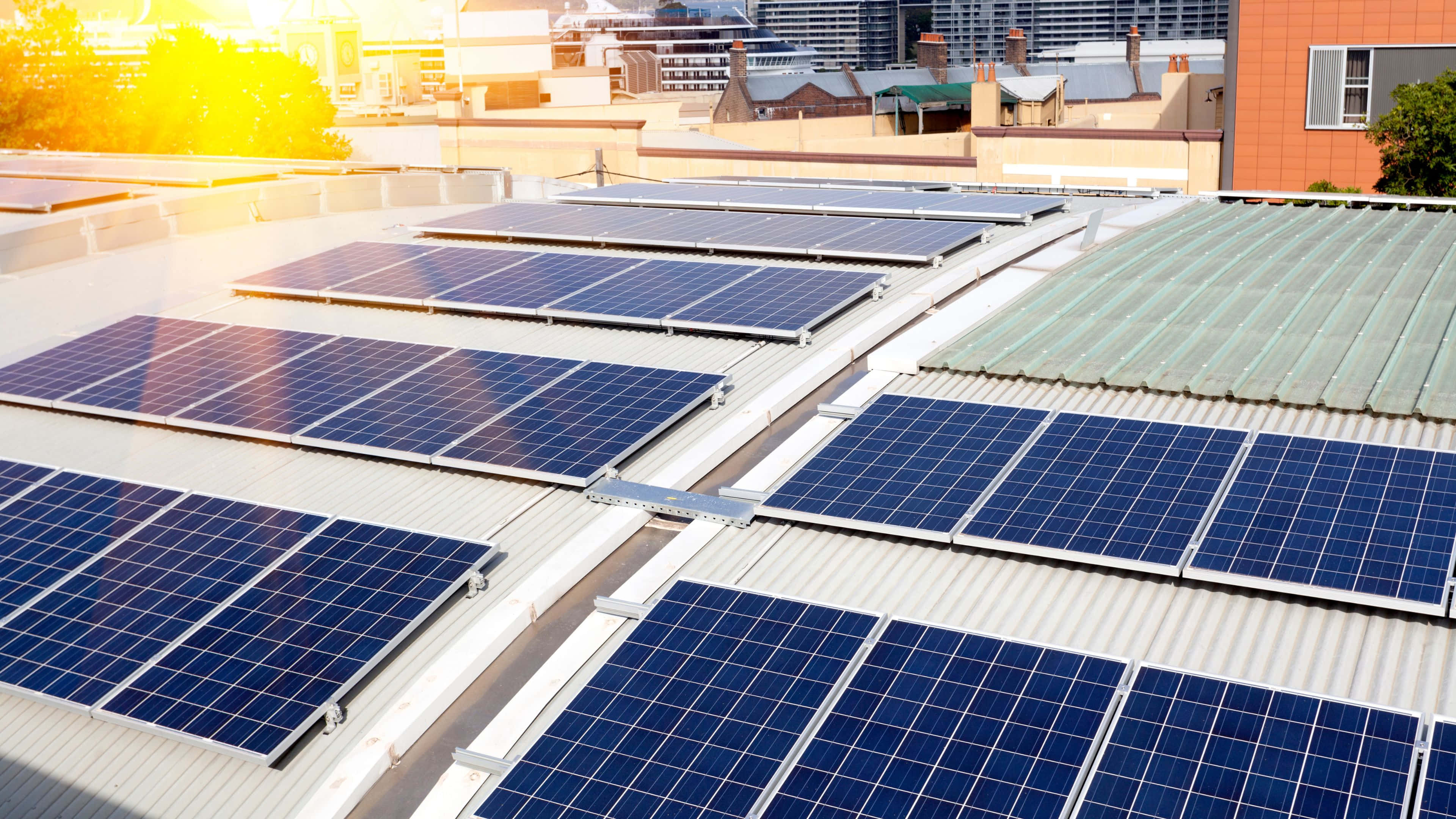 Solar Panel 桌布 壁紙 — 一排排藍色太陽能板在金色陽光下閃耀，位於波紋金屬屋頂上，背景是城市建築。