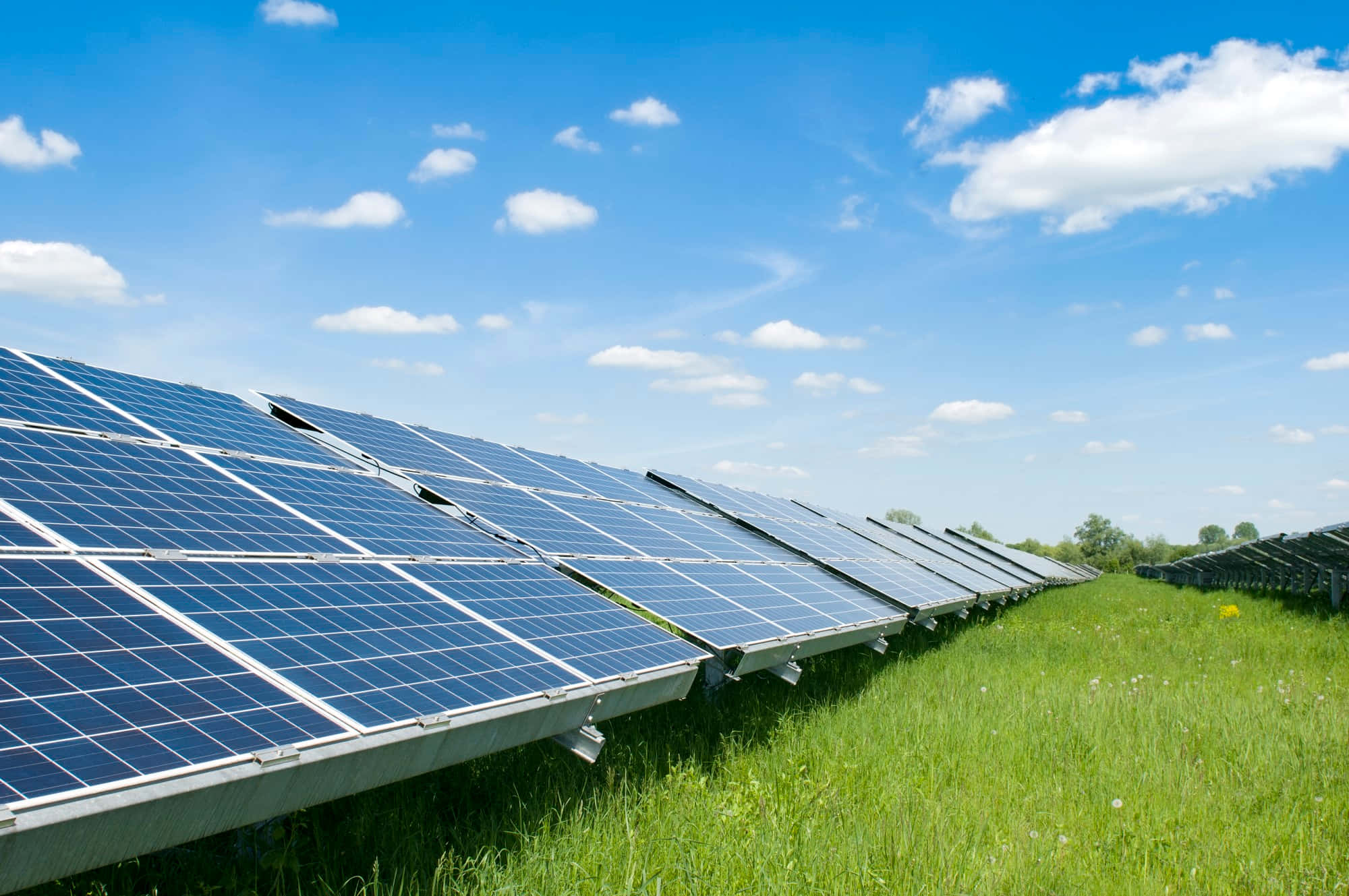 Solar Panel 桌布 壁紙 — 一排排藍色太陽能板延伸至一片充滿活力的綠色田野，上方是明亮的藍天，點綴著幾朵白雲。