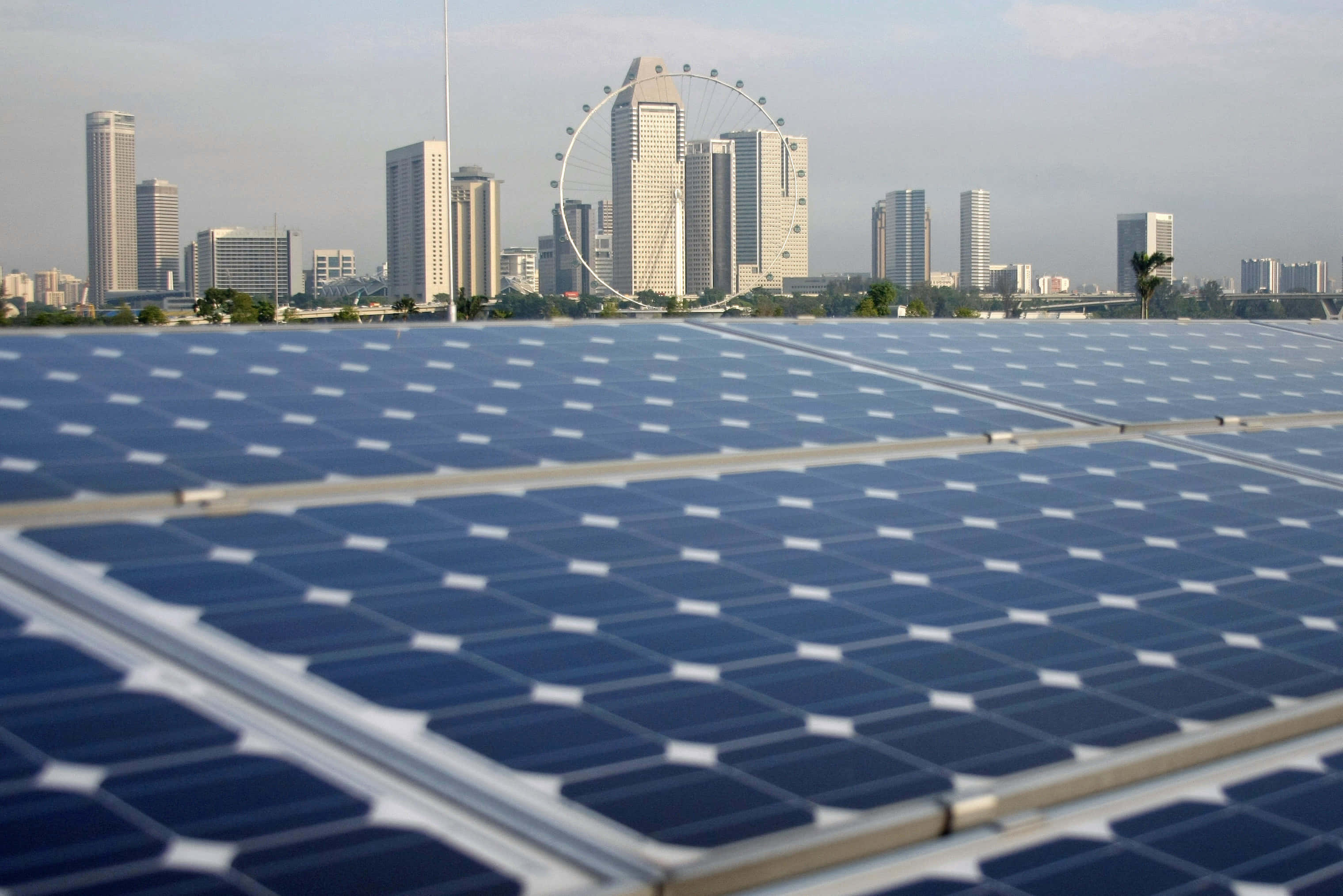 Energy 桌布 壁紙 — 一排排藍色太陽能板延伸至現代城市天際線，其中有一個大型觀景摩天輪。