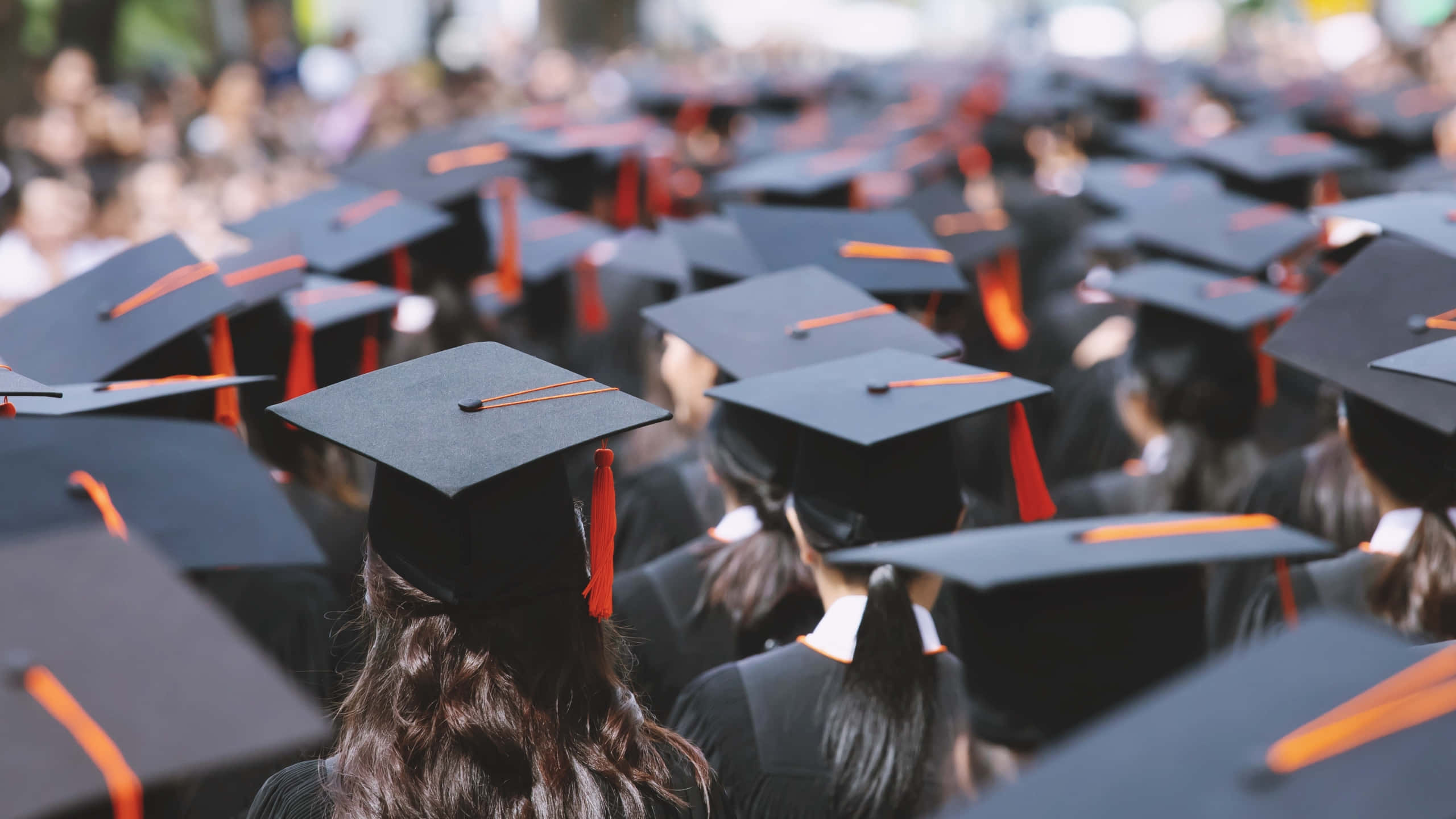 Graduation Ceremony 桌布 壁紙 — 一排排身穿黑色學士帽和袍、配橙色流蘇的畢業生，在陽光明媚的戶外典禮上肩並肩站立。