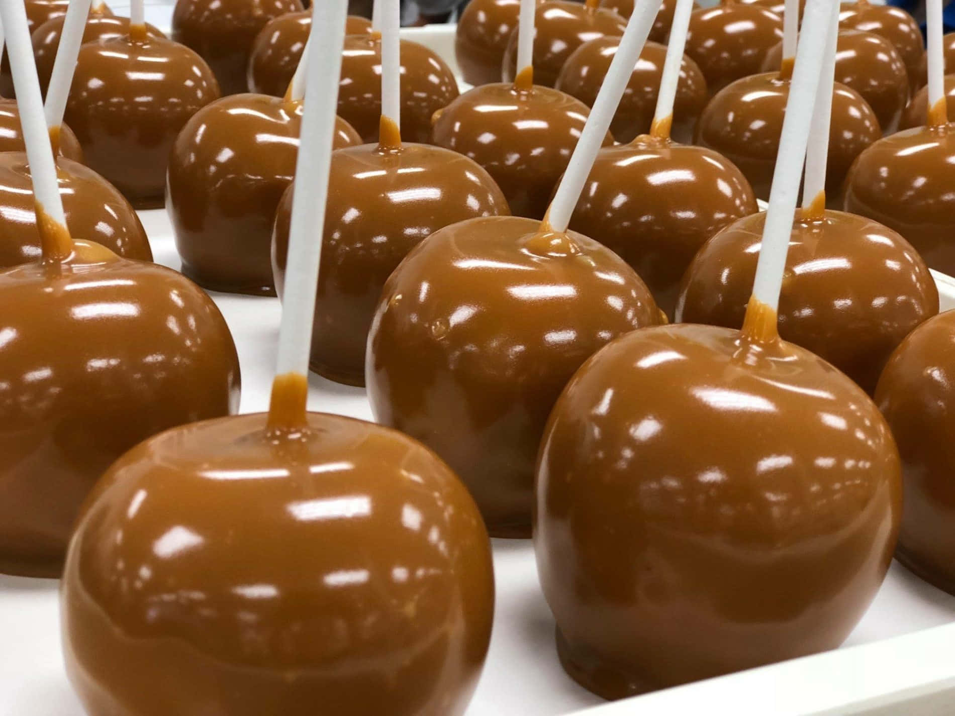 Caramel Apples 桌布 壁紙 — 一排排閃亮的焦糖蘋果，插著白色小棒，整齊地放在白色托盤上，在明亮的燈光下。