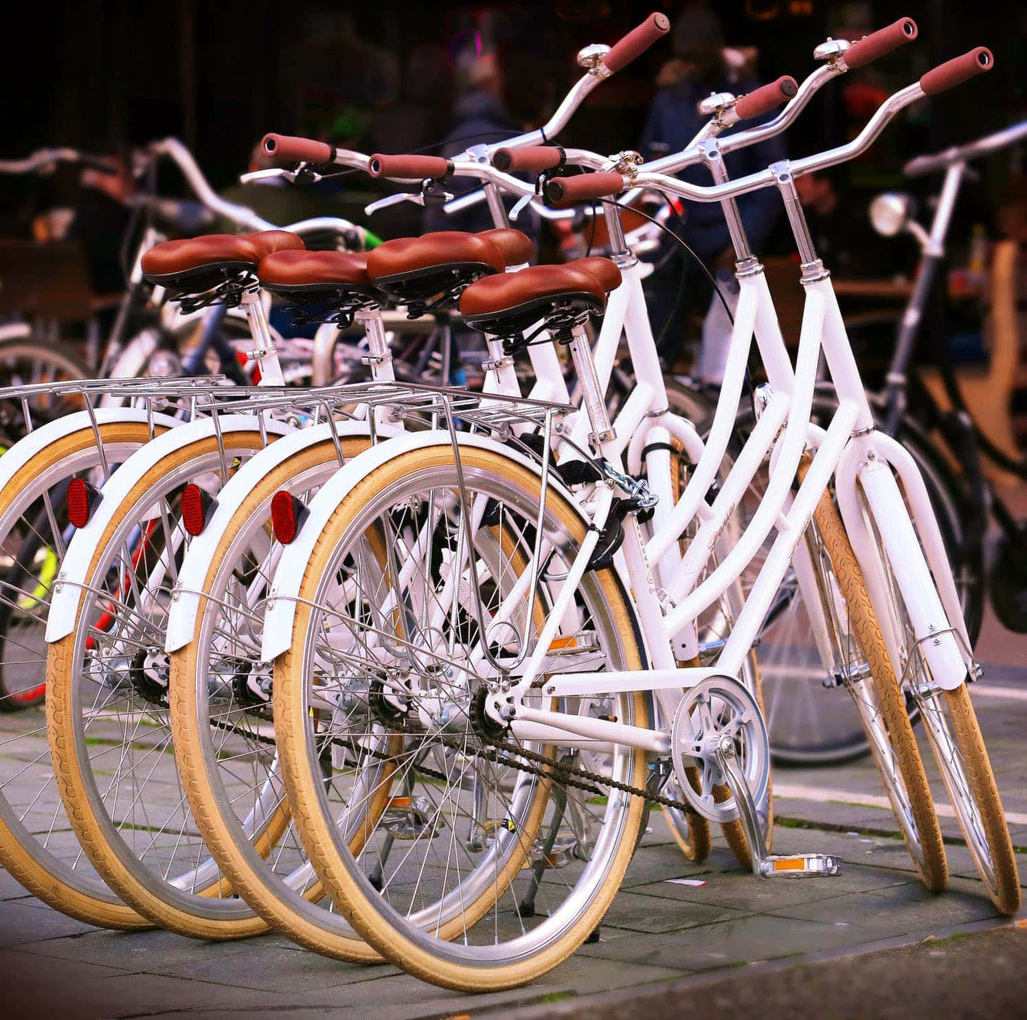 Bicycle 桌布 壁紙 — 一排白色單車，配備棕色輪胎和棕色皮革座椅，整齊地停放在鋪砌的人行道上。