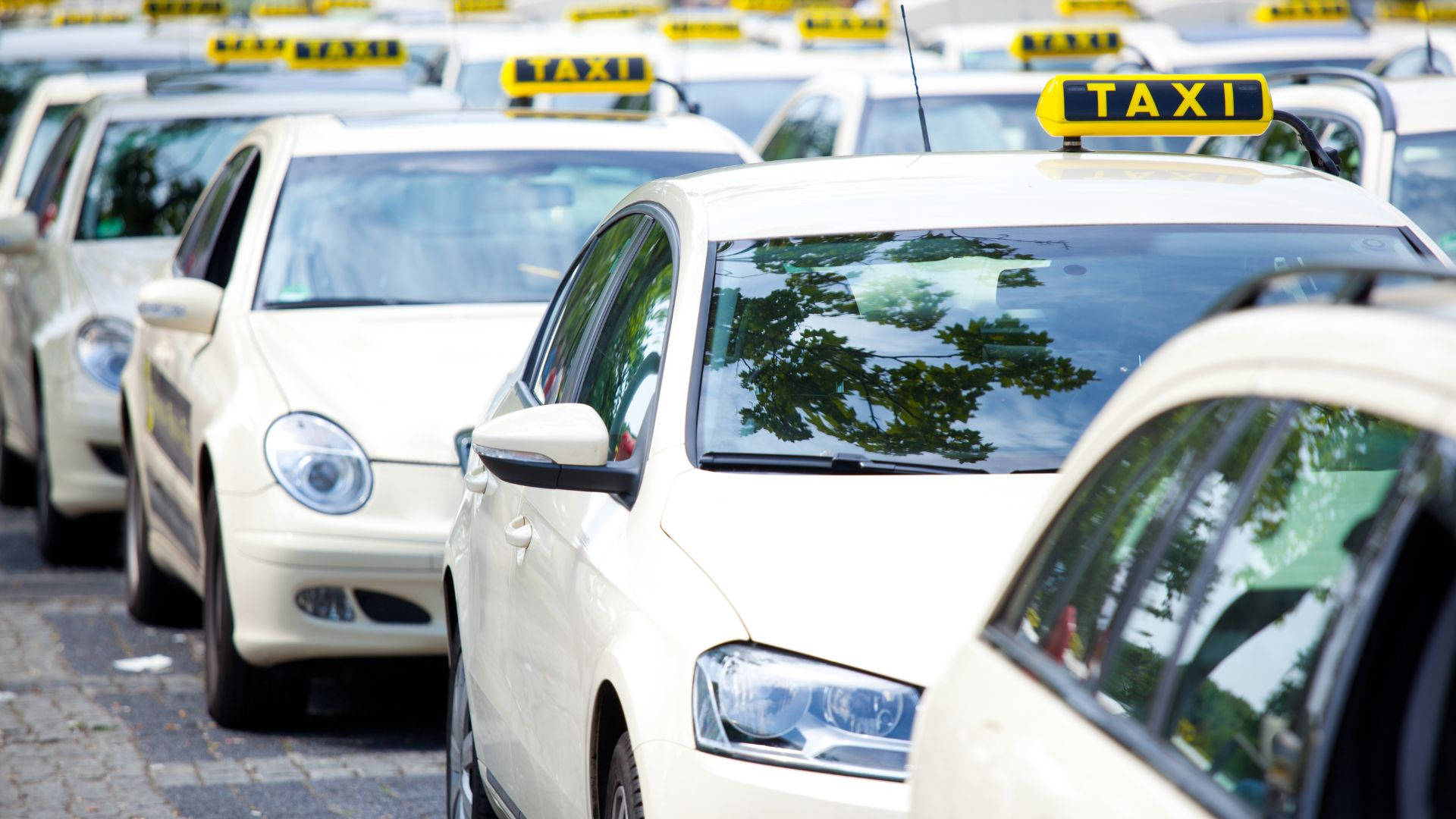 一排白色計程車 壁紙 — 一排白色出租車帶有黃色標誌，停在鵝卵石街道上，在明亮的日光下。