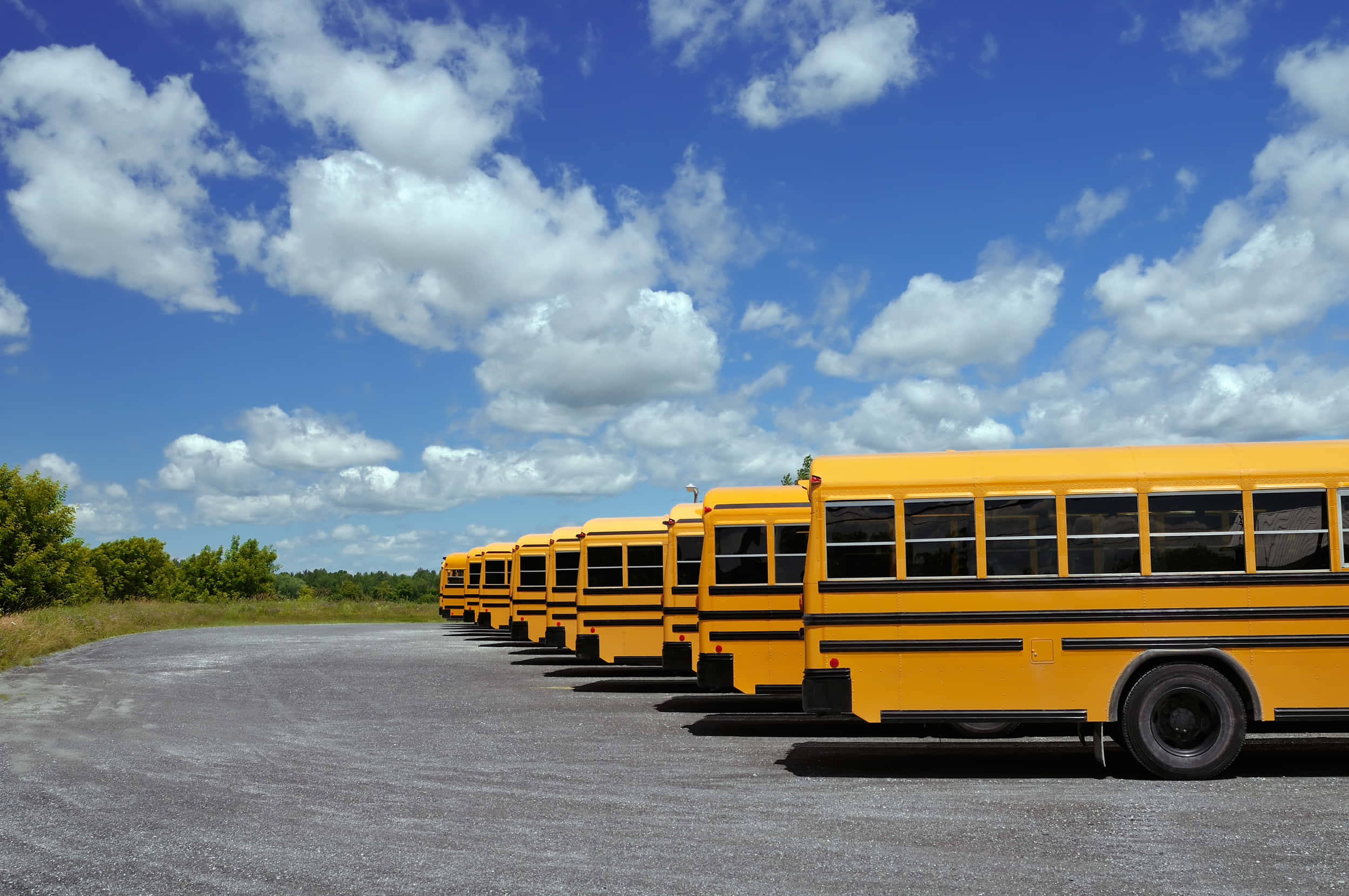 Yellow School Bus 桌布 壁紙 — 一排經典黃色校車停泊在碎石地上，上方是晴朗藍天，飄著蓬鬆白雲。