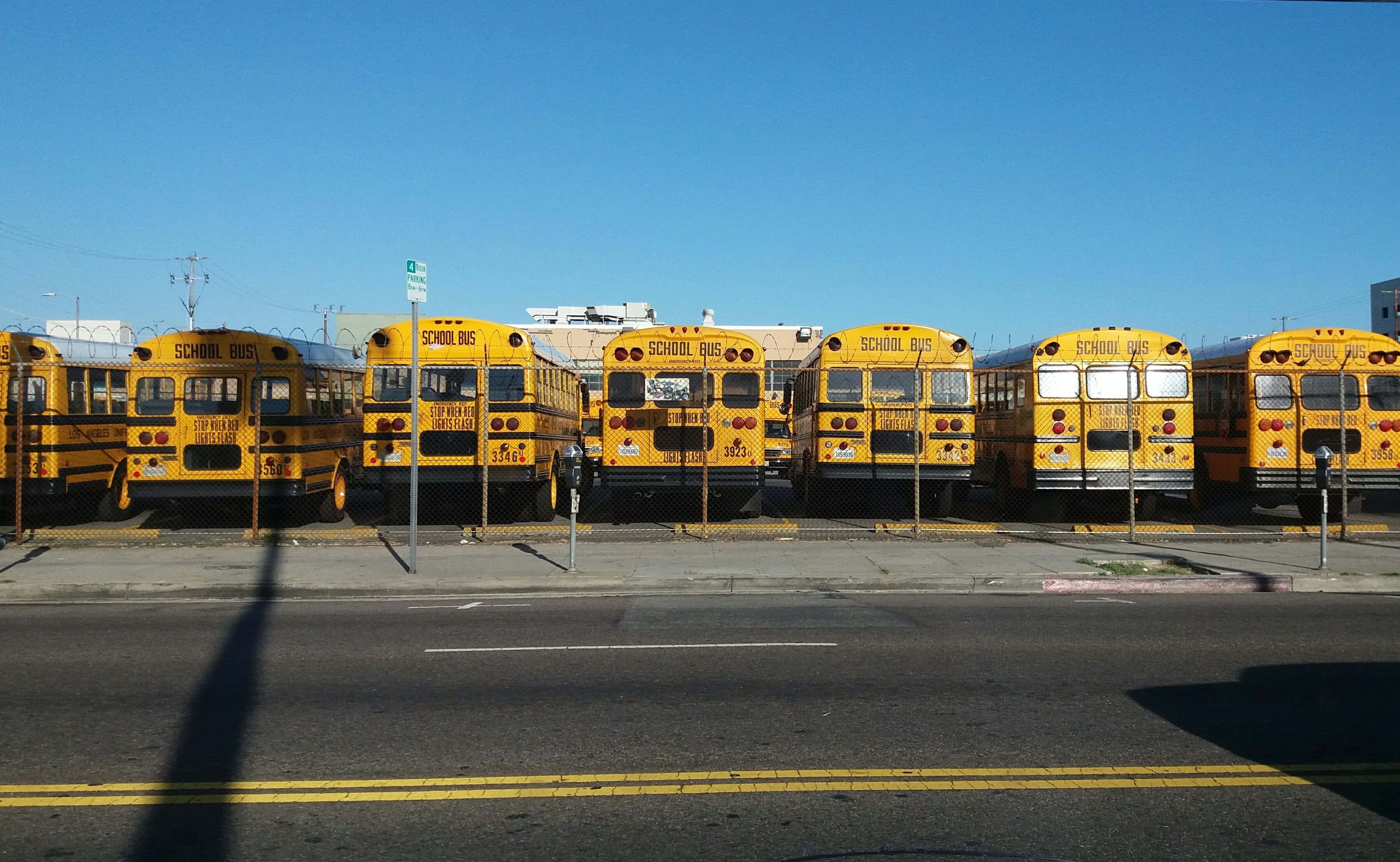 Yellow School Bus 桌布 壁紙 — 一排經典黃色校車停泊在鐵絲網圍欄後面，天空清澈湛藍。