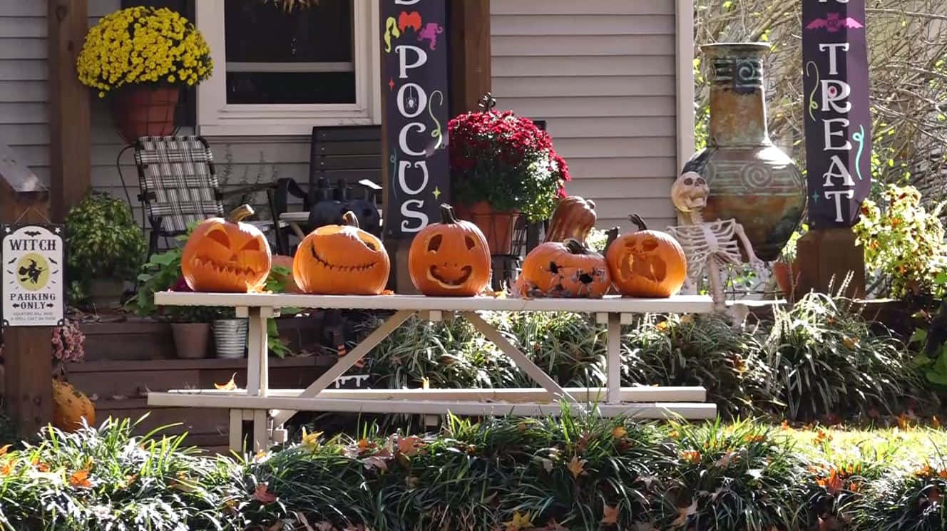 Halloween Yard Decorations 桌布 壁紙 — 一排雕刻的南瓜燈放在前院的野餐桌上，前院裝飾著南瓜、標誌和骷髏，以迎接萬聖節。