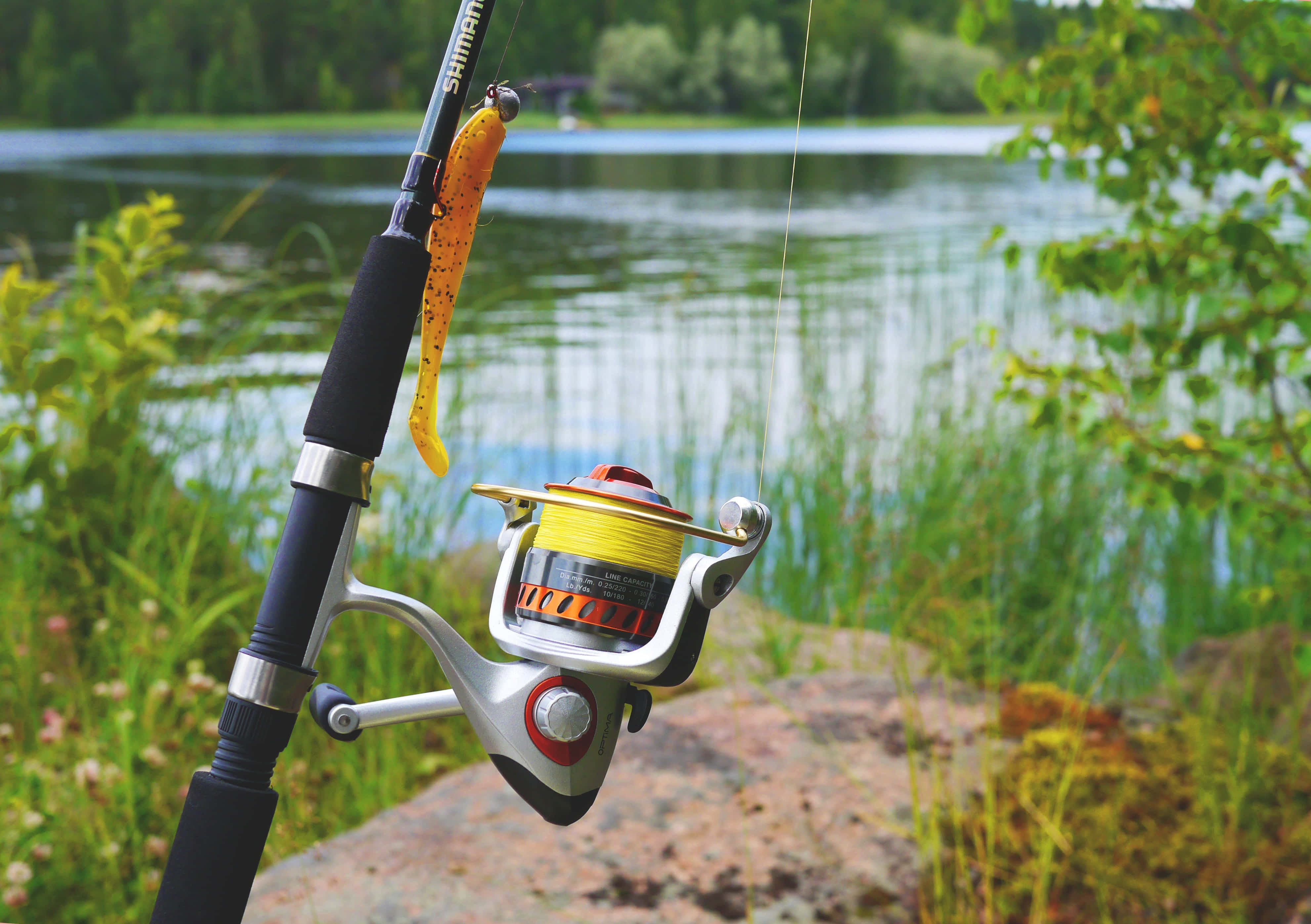 Fishing Rod 桌布 壁紙 — 一支Shimano釣魚竿，配有黃色魚線和魚餌，擱在長滿青苔的石頭上，旁邊是寧靜的湖泊，四周綠意盎然。