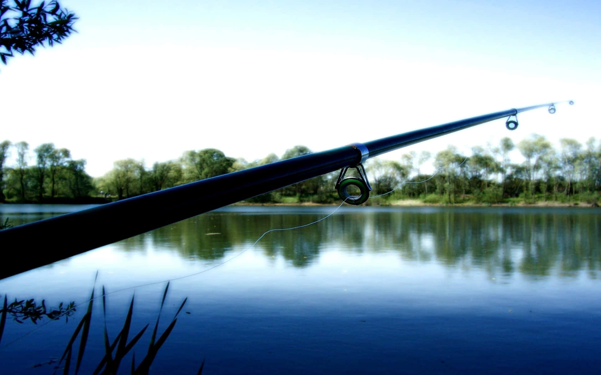 Fishing Rod 桌布 壁紙 — 一支流線型魚竿伸延在平靜的藍色水面上，水面倒映著綠樹，天空明亮。