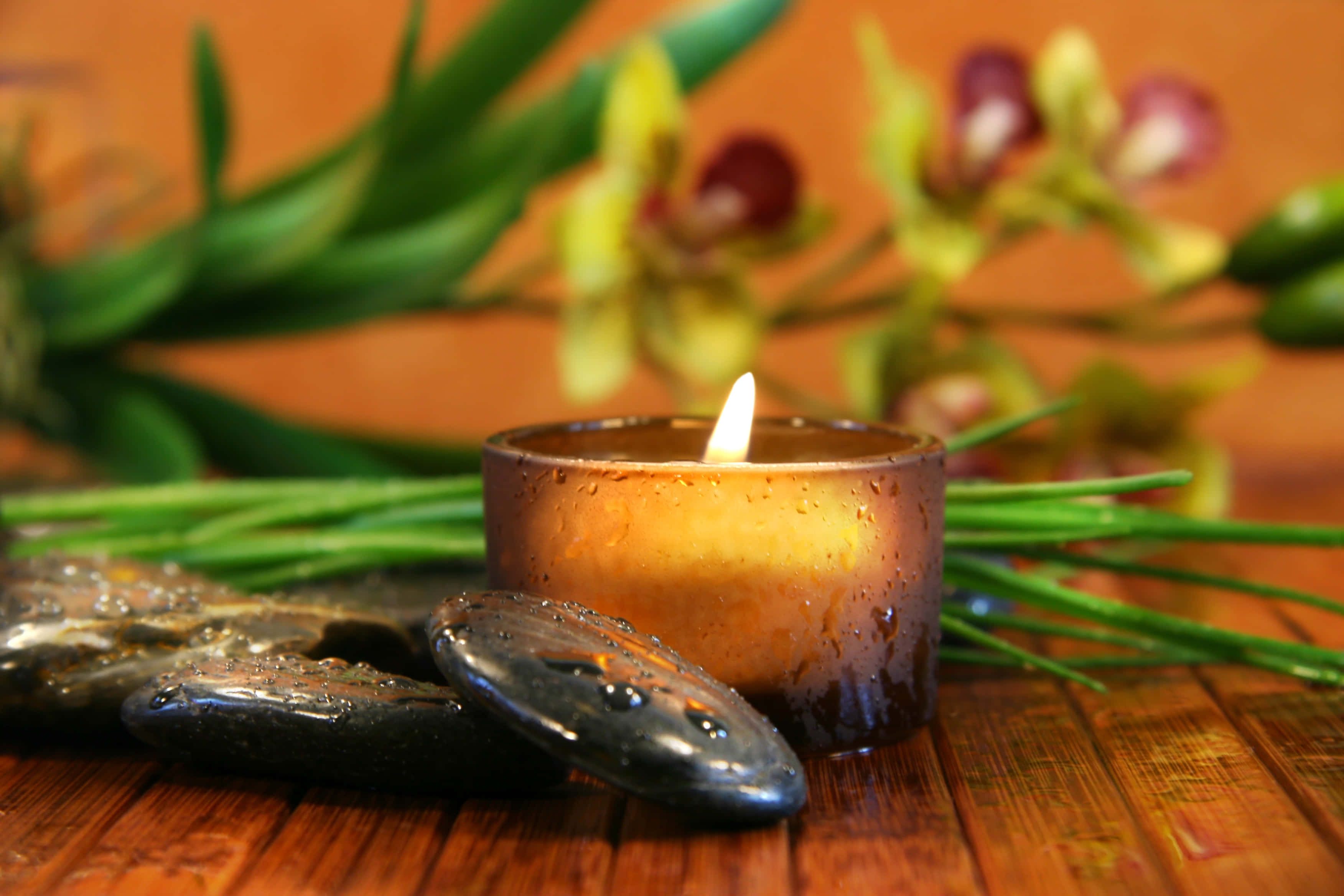 Spa Treatments 桌布 壁紙 — 一支發光的蠟燭安放在潮濕的河石和綠色蘭花之間的木質表面上。