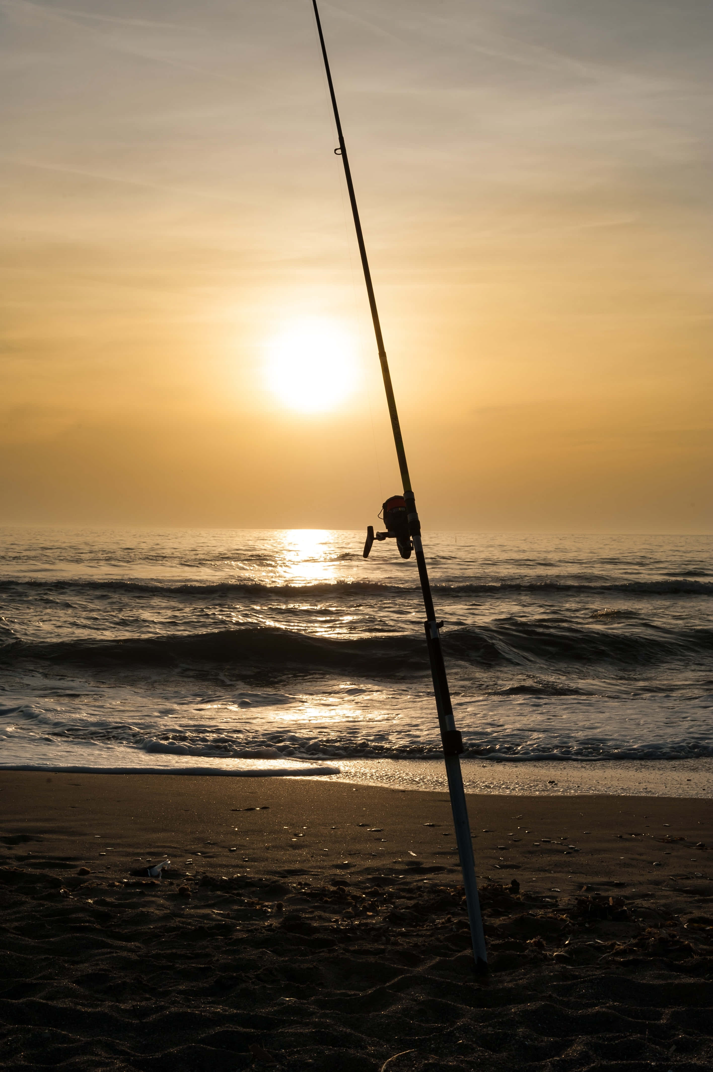 Fishing Rod 桌布 壁紙 — 一支魚竿在沙灘上形成剪影，夕陽在海面上落下，將金色光芒灑在波浪上。