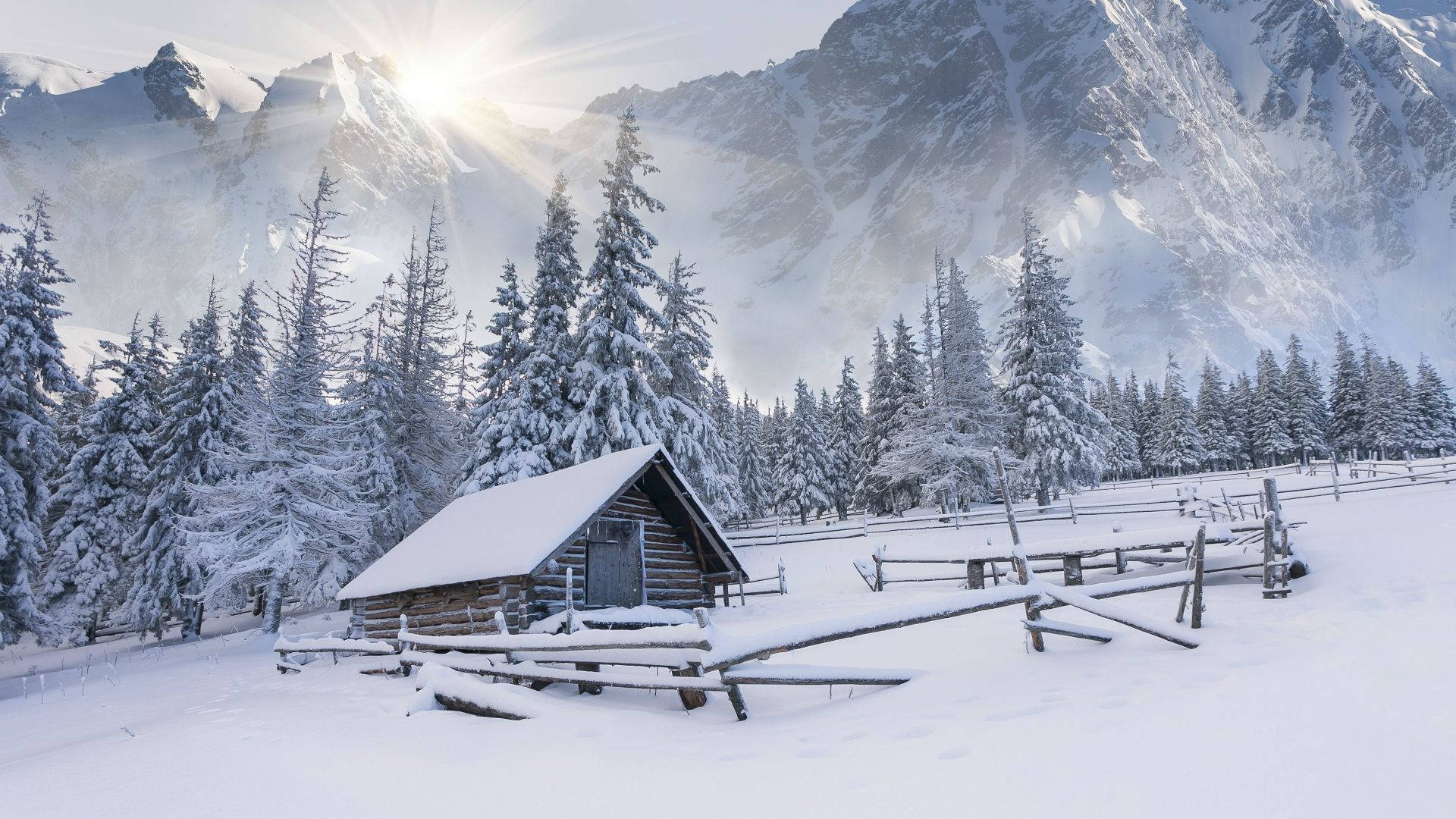 冬日山中的雪屋，陽光穿過樹林