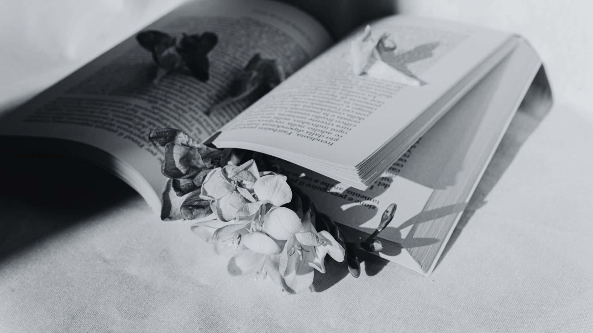 Black And White Book 桌布 壁紙 — 一本單色調的打開的書放在布料上，精緻的乾花從書頁中溢出，投下柔和的陰影。