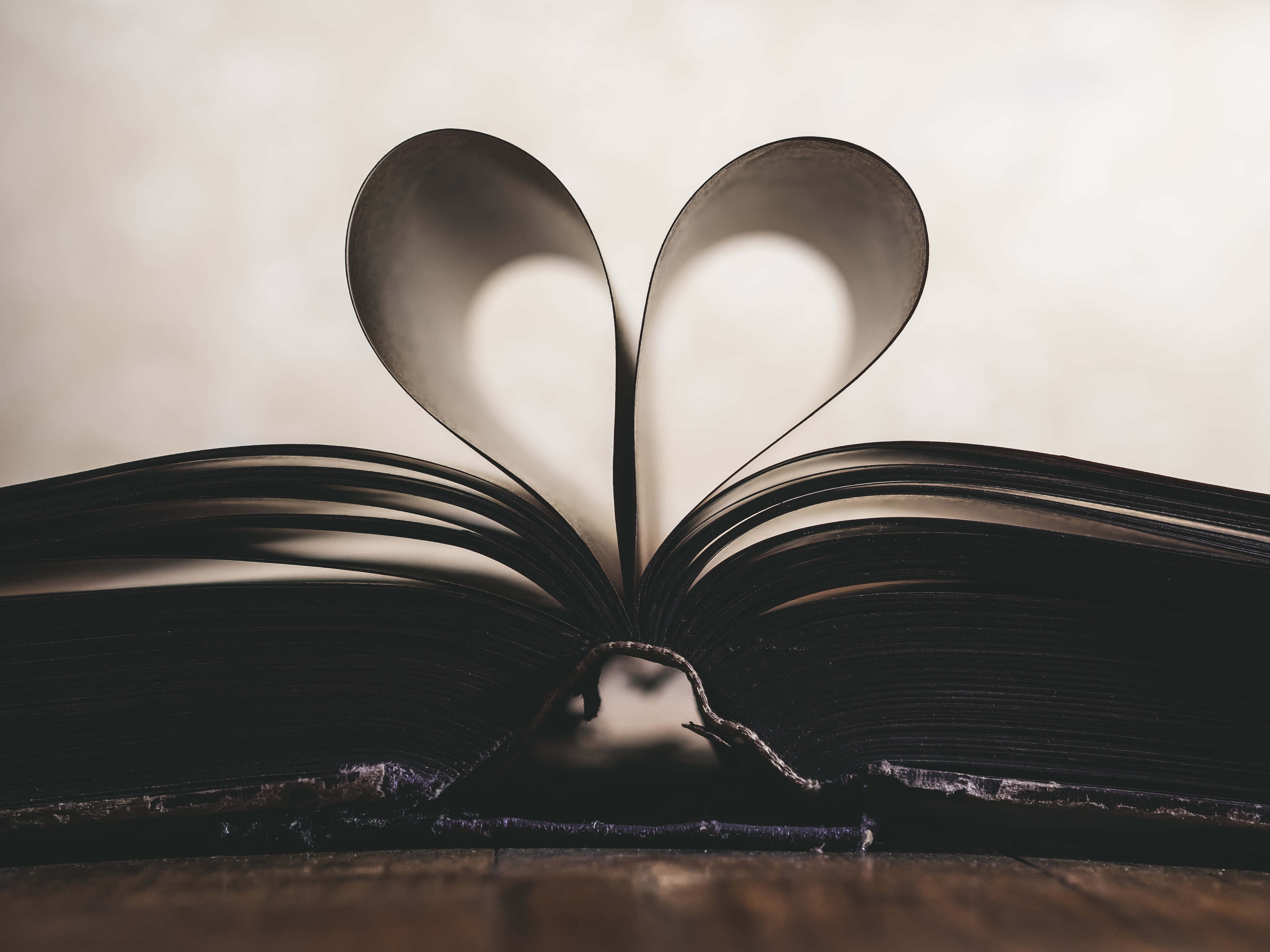Romance Literature 桌布 壁紙 — 一本打開的書，書頁捲成心形，背景柔和模糊。