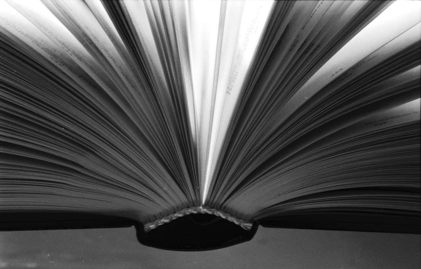 Black And White Book 桌布 壁紙 — 一本打開的書的頁面在戲劇性燈光下像翅膀一樣展開的黑白特寫。