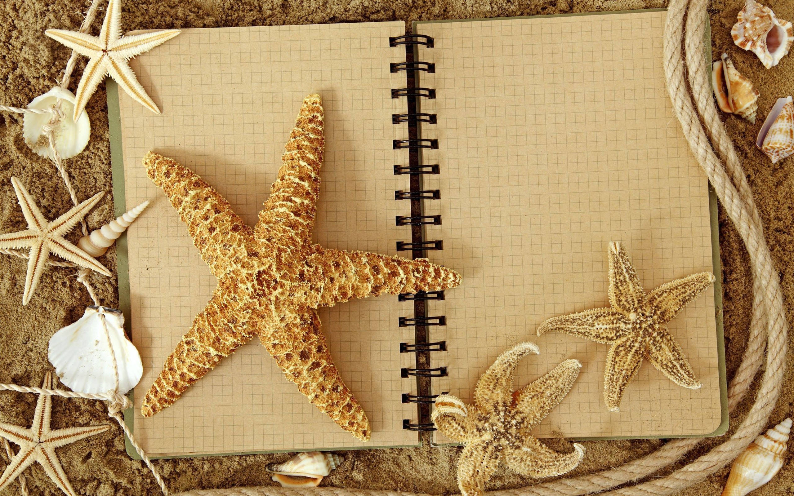 Starfish 桌布 壁紙 — 一本螺旋裝訂的筆記本放在沙灘上，周圍有海星、貝殼和繩索。