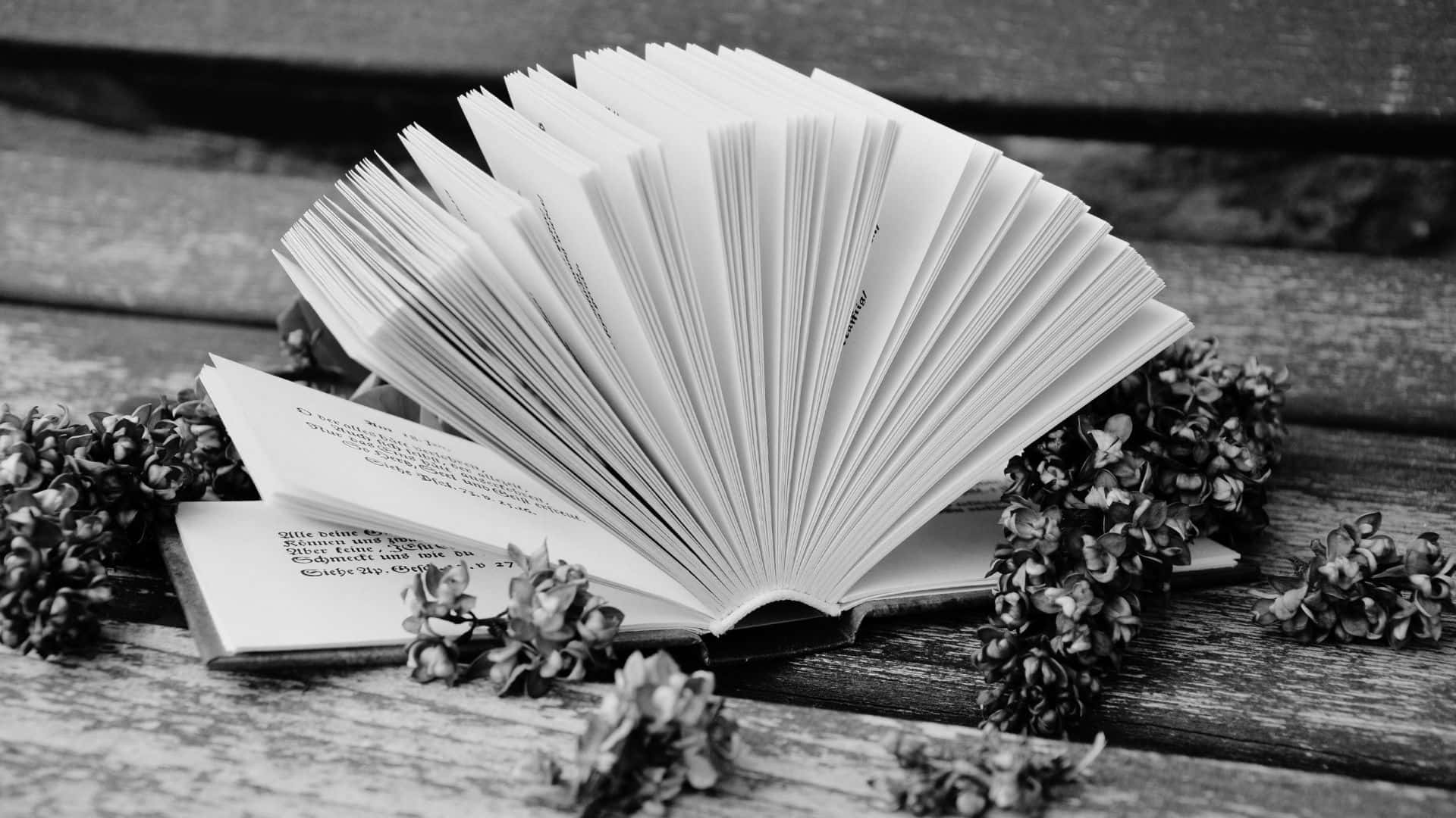 Black And White Book 桌布 壁紙 — 一本黑白相間的打開書本在木質表面上展開，周圍環繞著乾燥的繡球花。