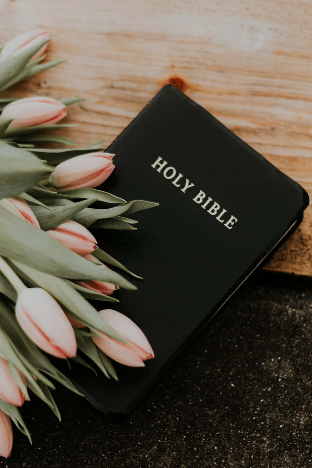 New Testament 桌布 壁紙 — 一本黑色聖經放在一個有深色礫石的鄉村風格木質表面上，旁邊是柔和的粉紅色鬱金香。