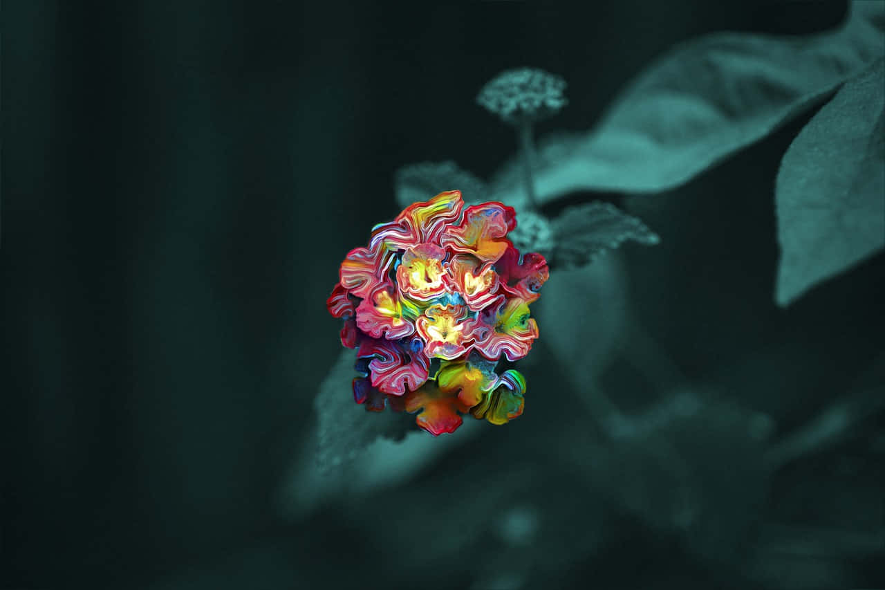Psychedelic Flowers 桌布 壁紙 — 一朵充滿活力的抽象花朵，帶有旋轉的彩虹色花瓣，在深藍綠色模糊的樹葉背景中閃耀。