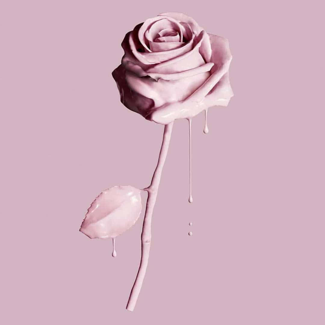 Aesthetic Rose 桌布 壁紙 — 一朵帶有融化花瓣和滴落液體的光澤粉紅玫瑰，背景為柔和的紫紅色。