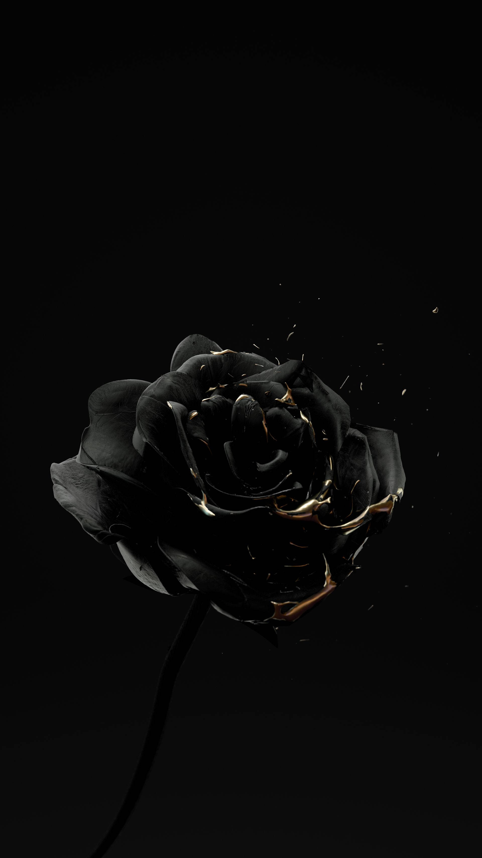 minimal dark iPhone 桌布 壁紙 — 一朵帶有金色點綴的單一黑玫瑰在純黑背景上戲劇性地碎裂。