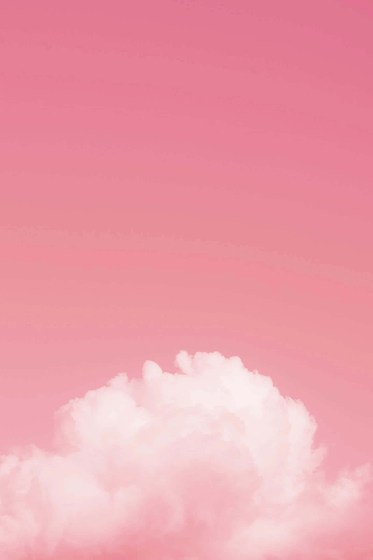 Pretty Pink 桌布 壁紙 — 一朵柔軟蓬鬆的雲朵，在漸變粉紅色的天空中，構成夢幻簡約的場景。
