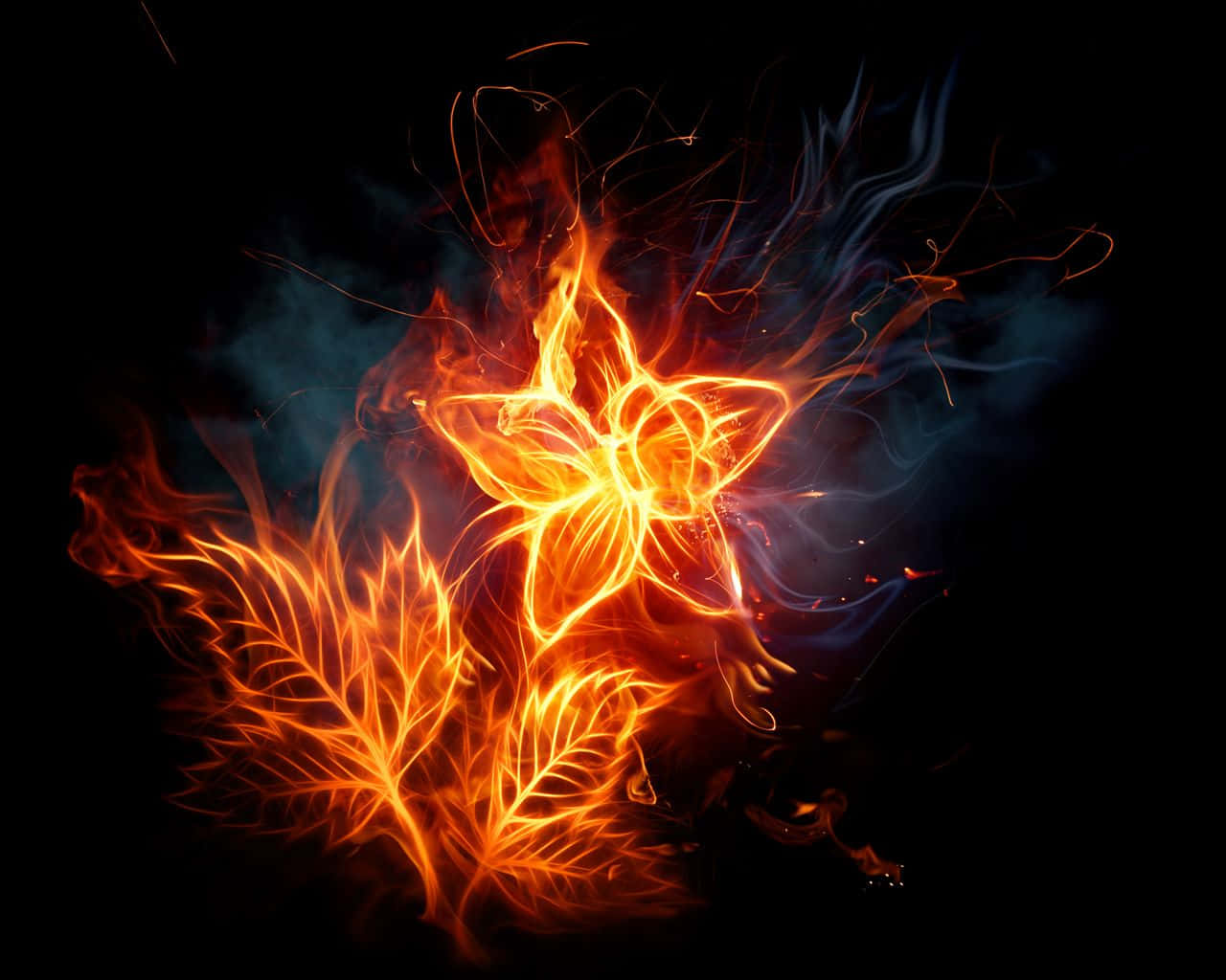 Flame 桌布 壁紙 — 一朵火紅的橙色花朵和葉子在黑暗背景中迸發出耀眼的光芒，伴隨著旋轉的藍色煙霧。